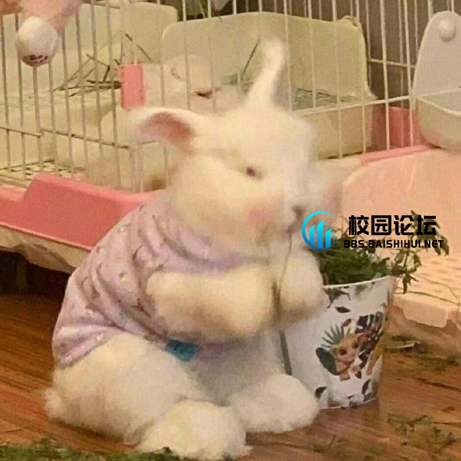 ā piāo的头像 - 校园论坛