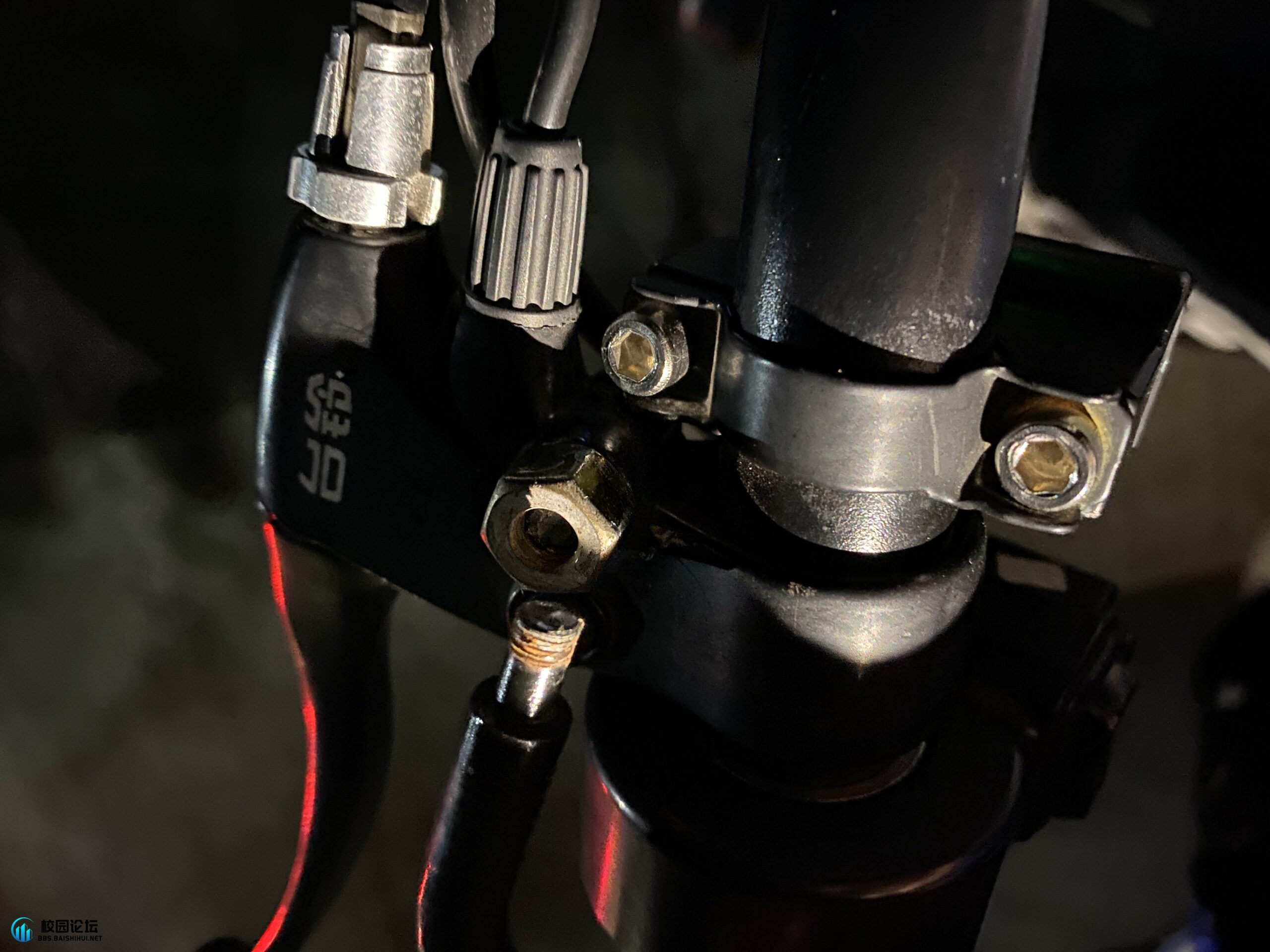 20231130214309672-mmexport1701351631483