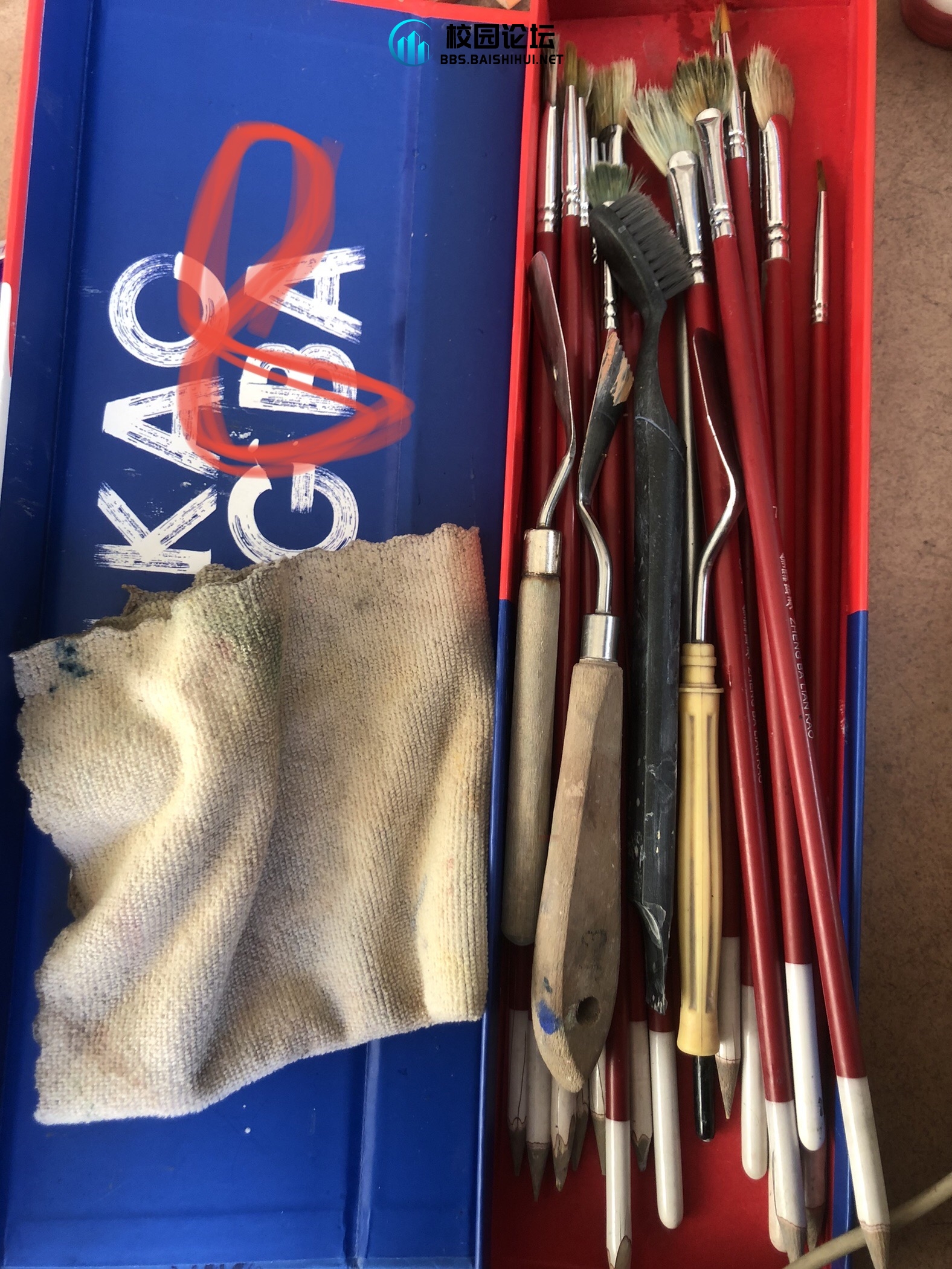 20231203165047224-IMG_1991