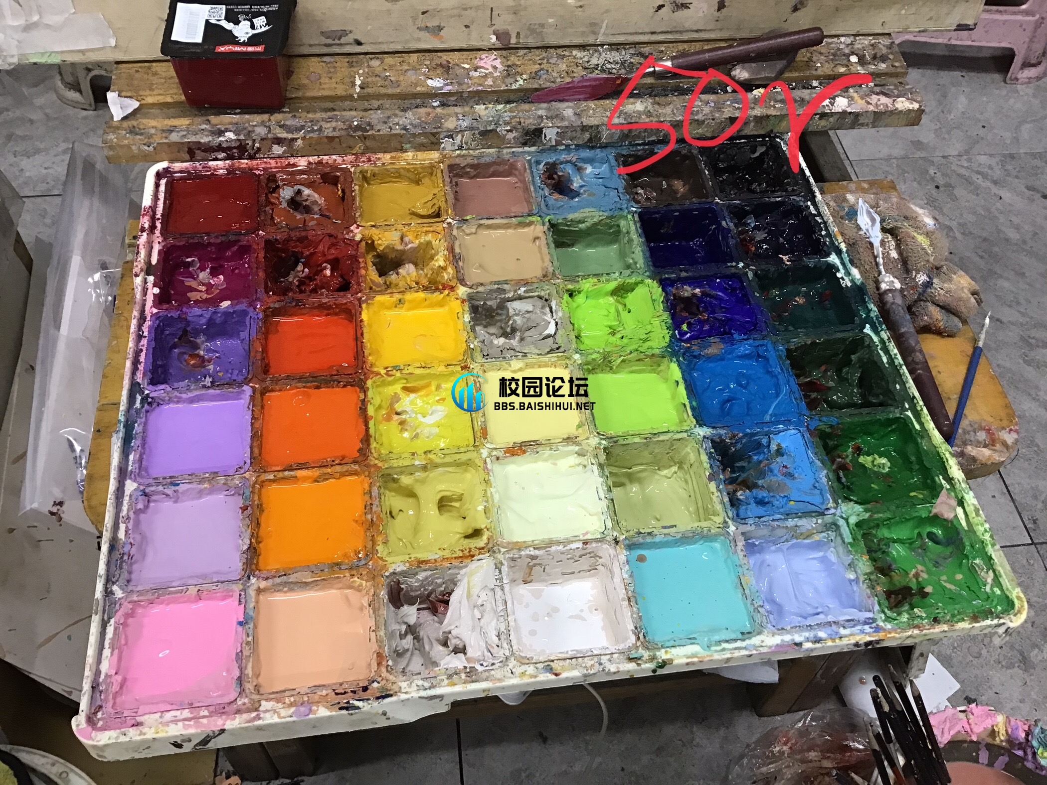 20231204202406151-IMG_0753