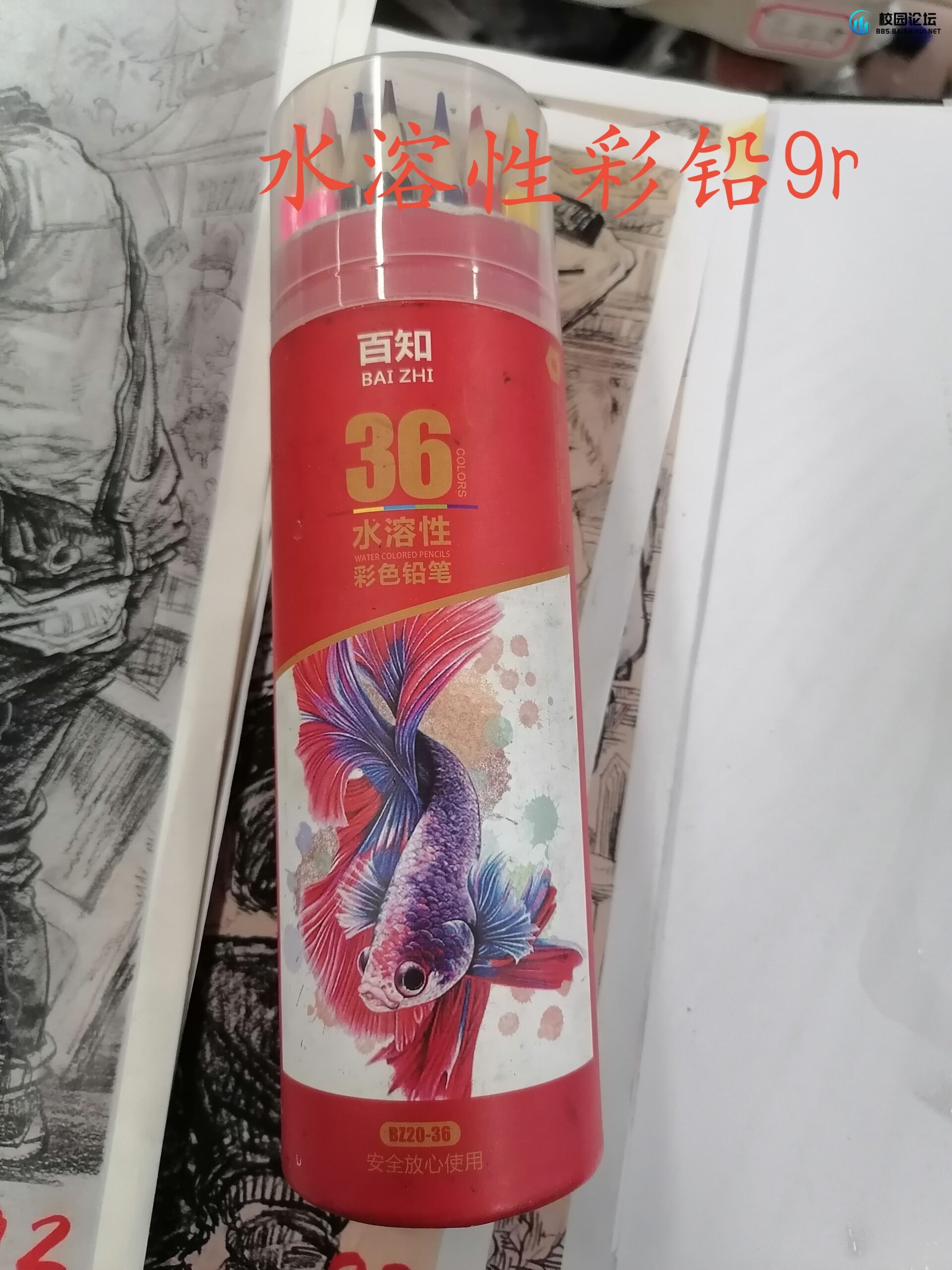 20231205193122459-IMG_20231201_105106_edit_28519927711793