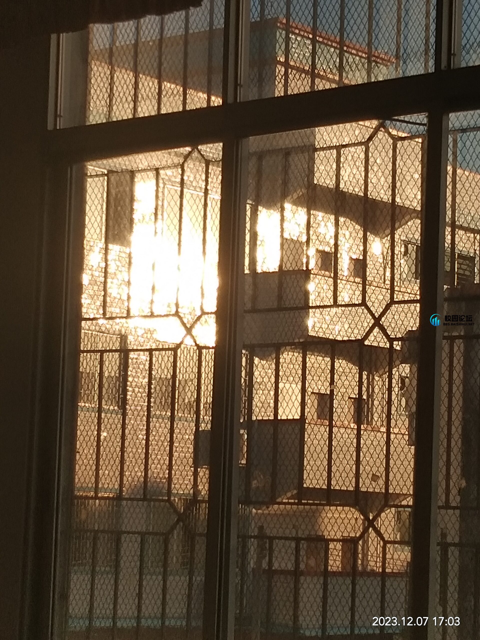 想天天睡觉的头像 - 校园论坛