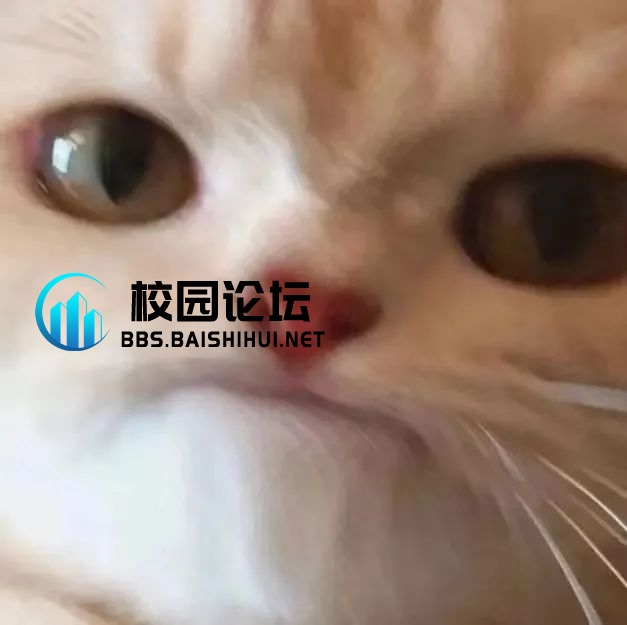 墨莲的头像 - 校园论坛