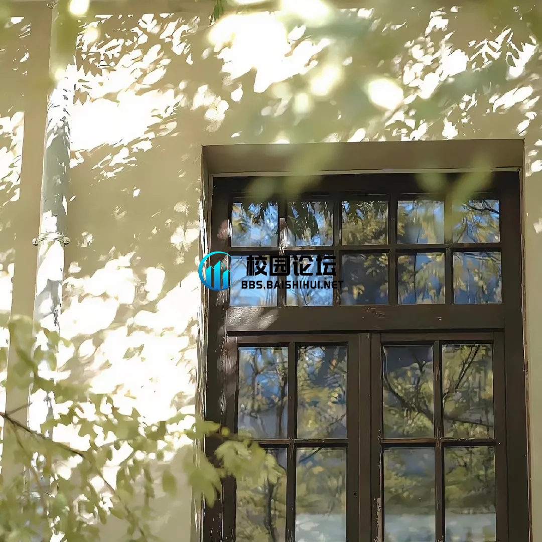 Cccccy - 校园论坛