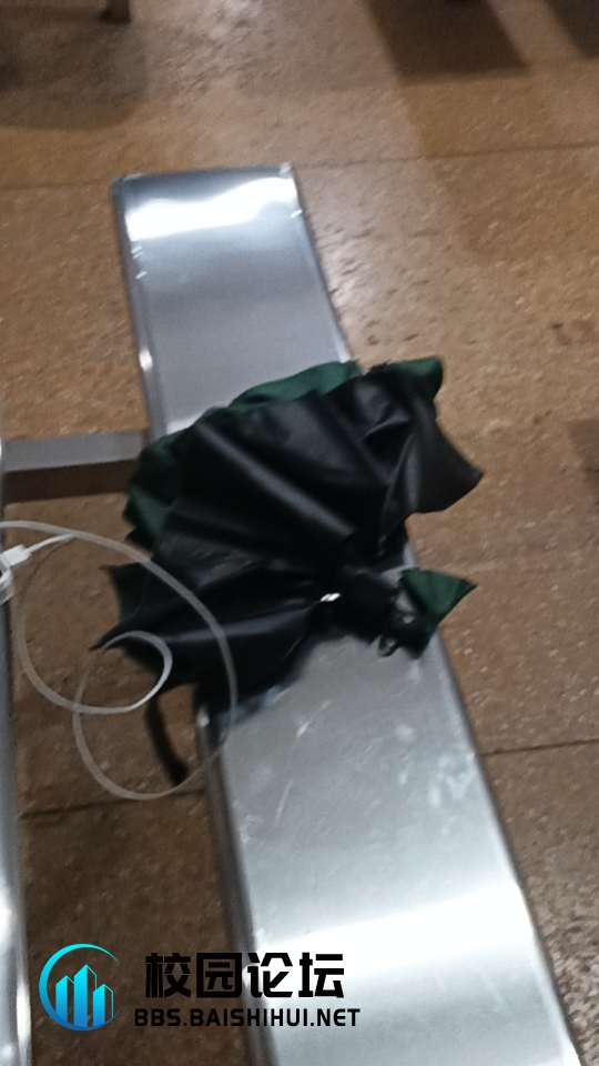 失物招领 - 校园论坛