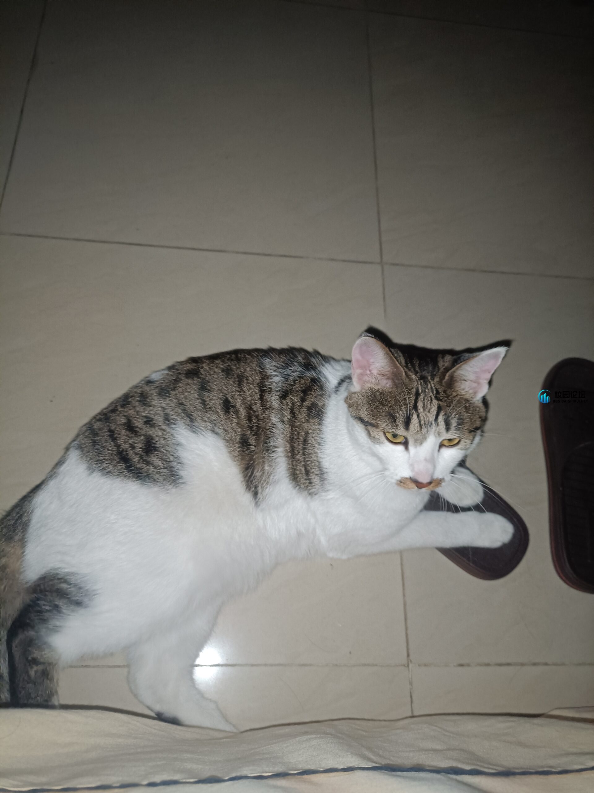 20231223221637152-IMG20231119011735