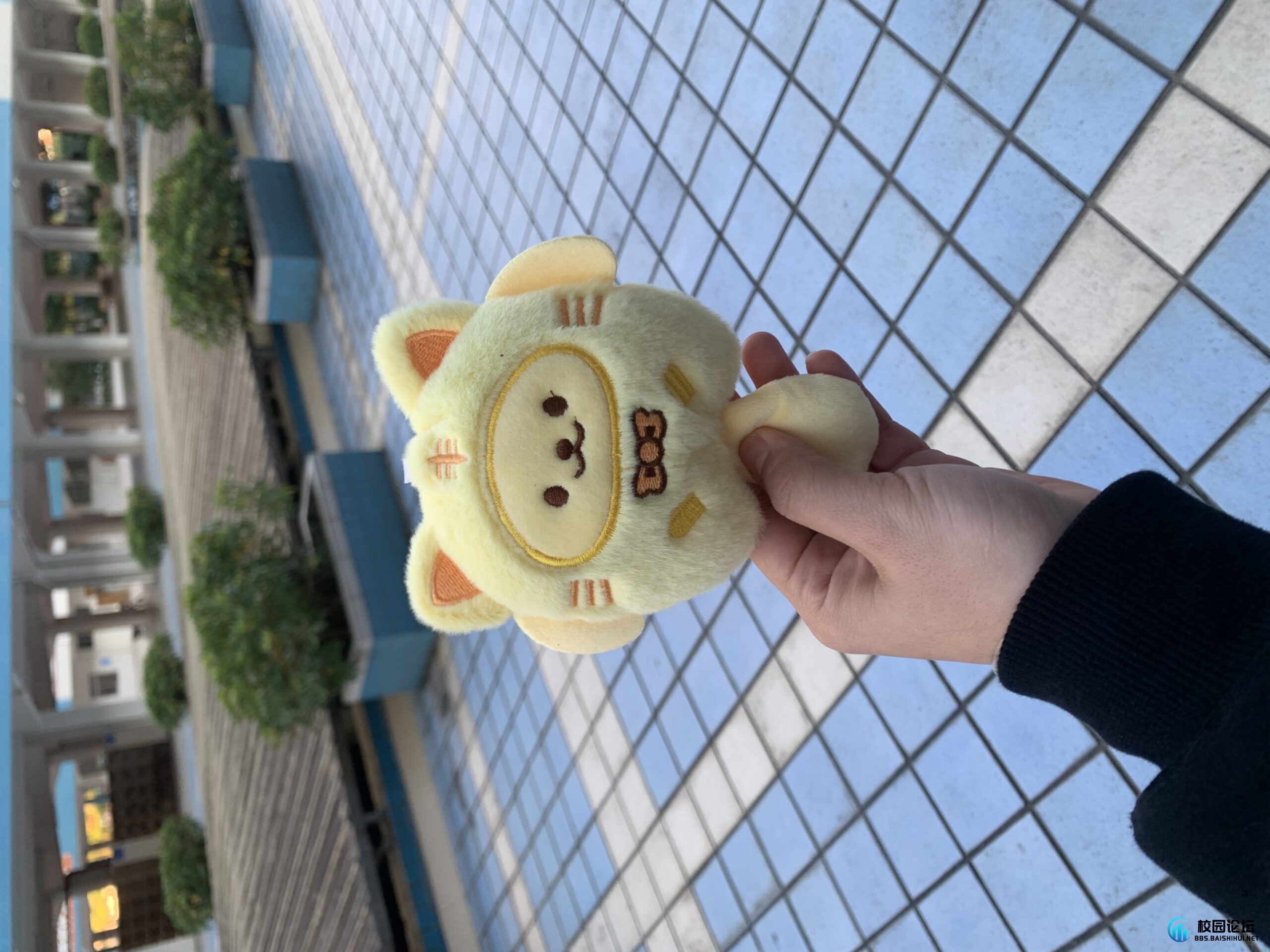 20231226125154128-IMG_2866