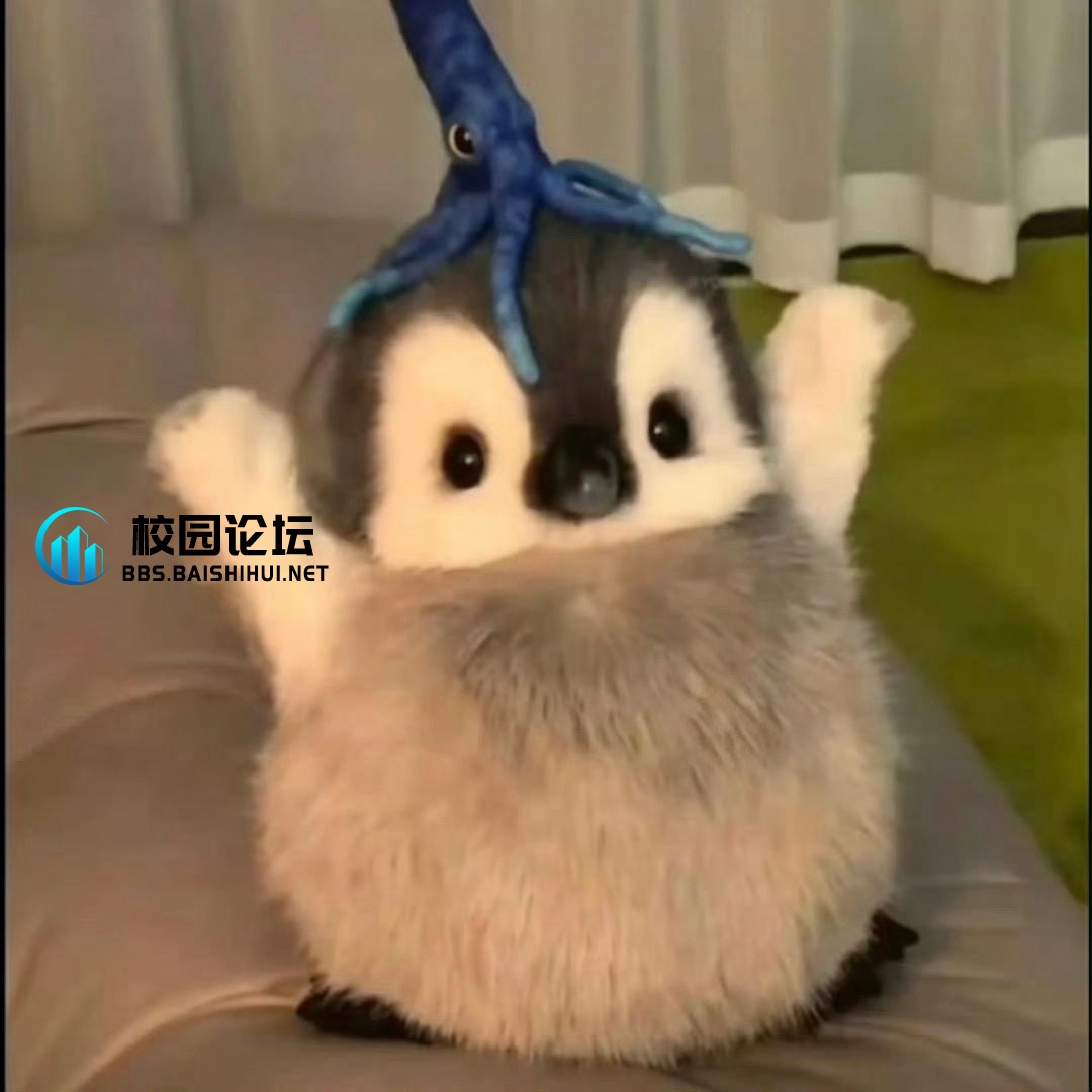 哦哦的头像 - 校园论坛