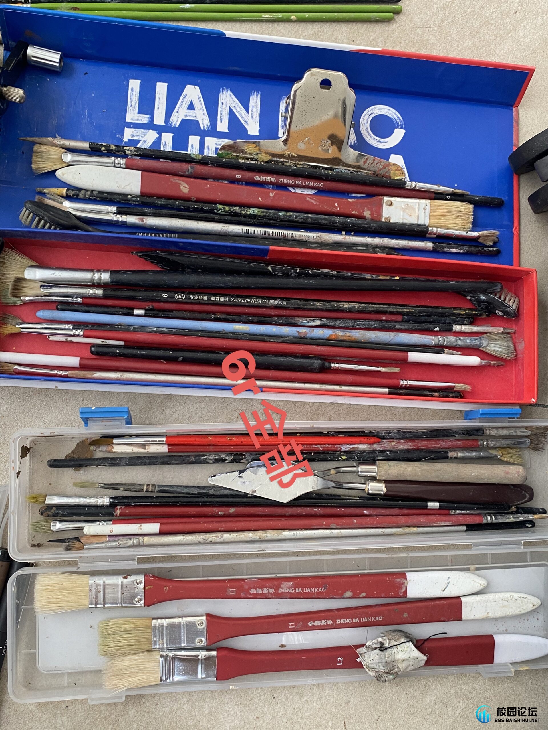 20240101135056748-FBB606C0-9A07-426F-9401-6B8E662BE795