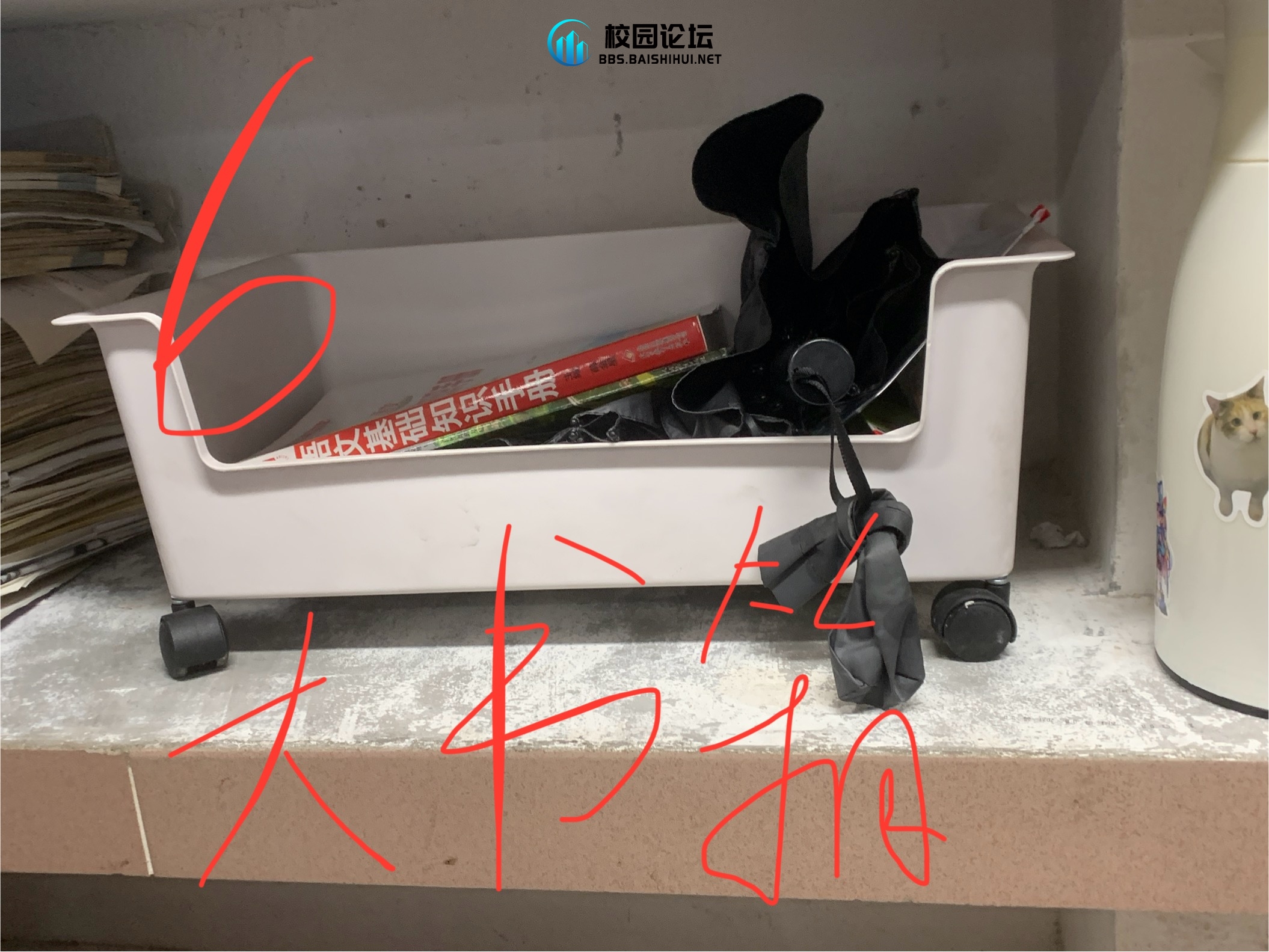 20240126104127179-IMG_3168