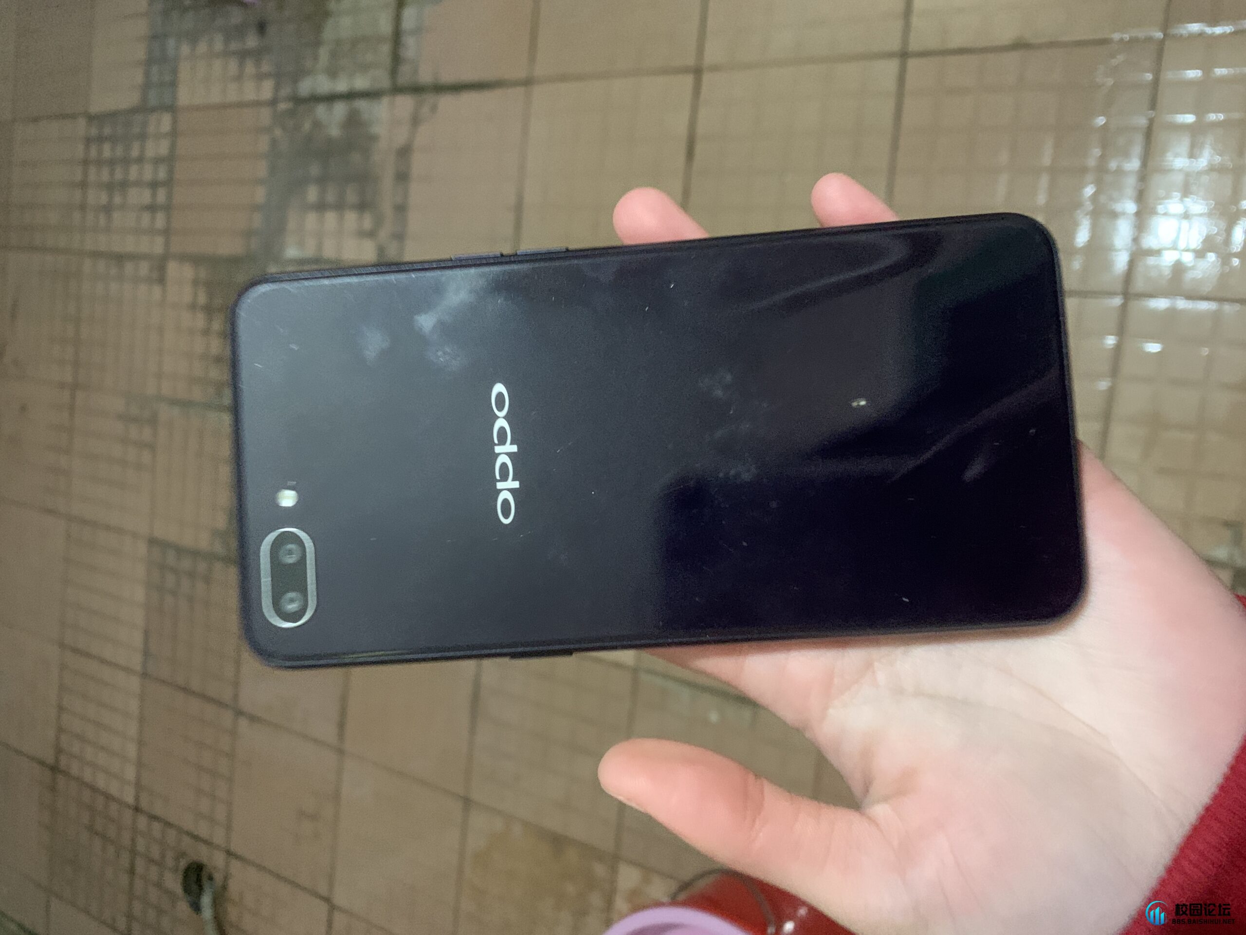 20240126213729952-IMG_3192