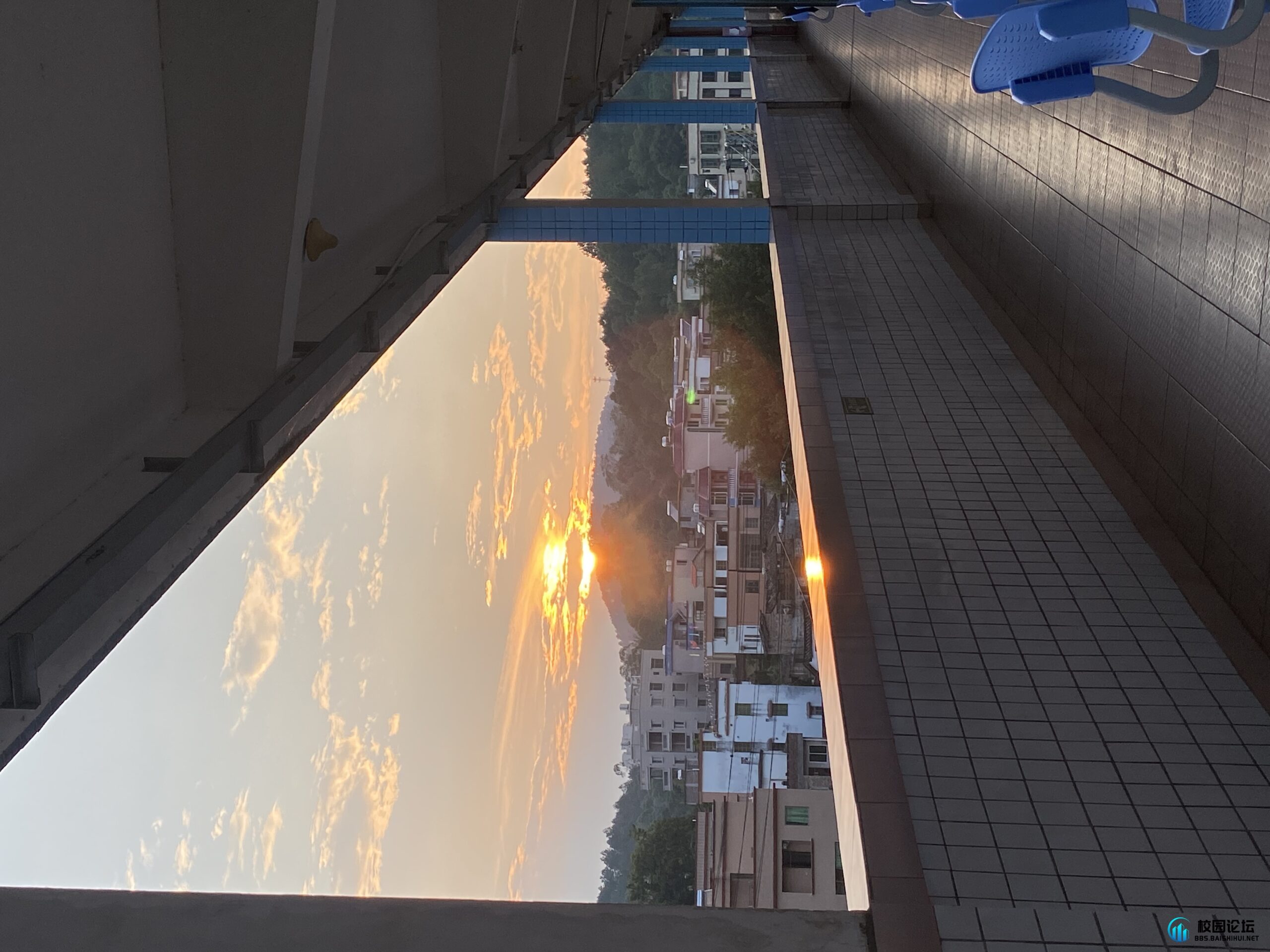 评论图片 - 校园论坛