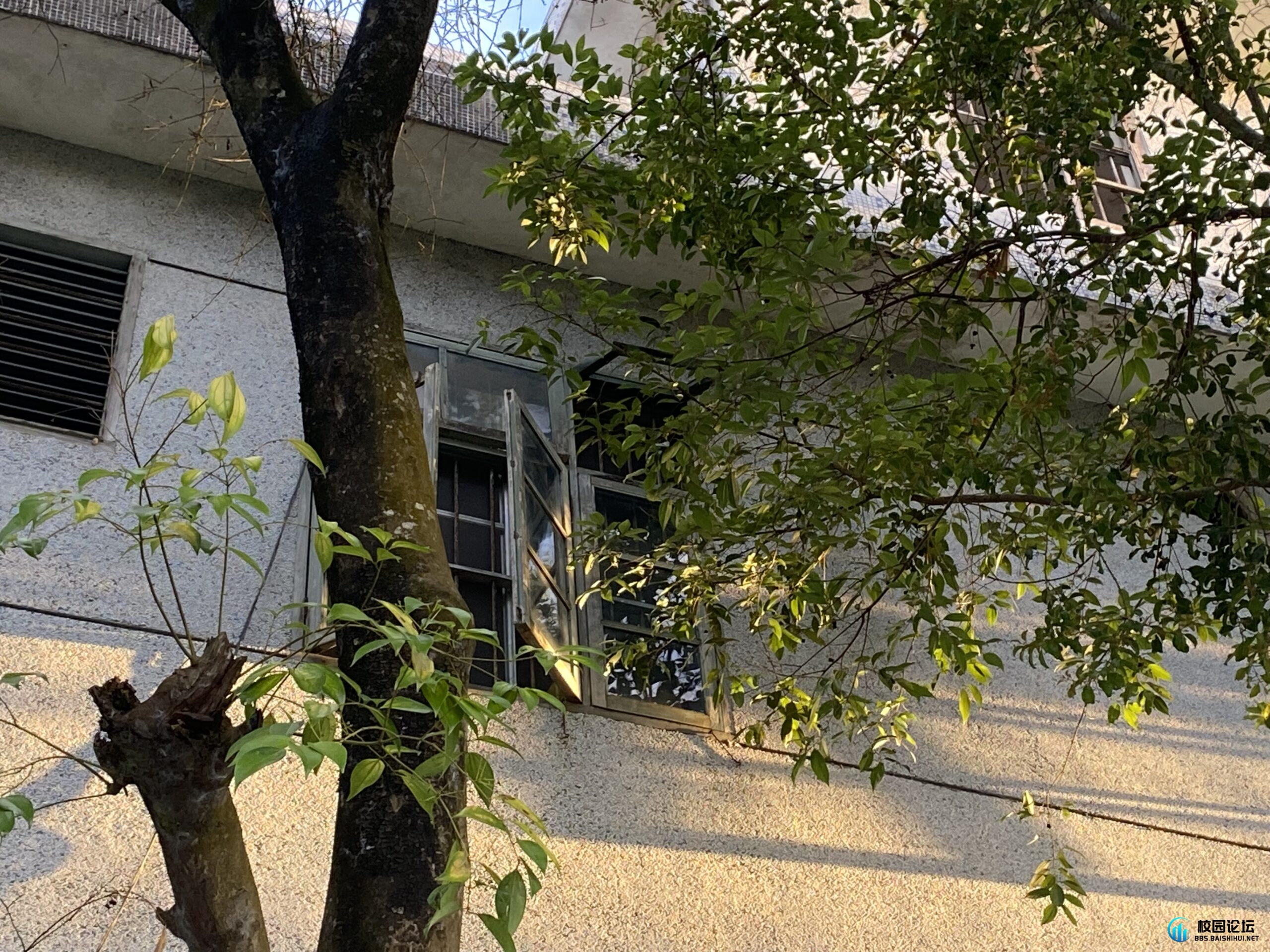 评论图片 - 校园论坛