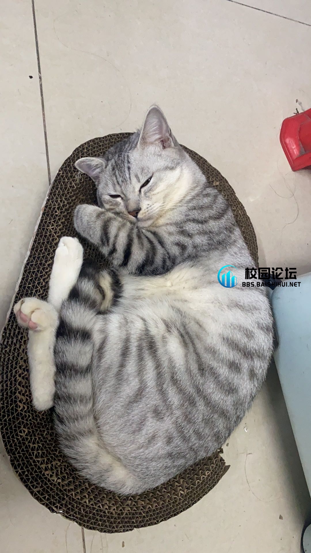 20240301230118465-9129025256477262d3eeeee70576ca6b