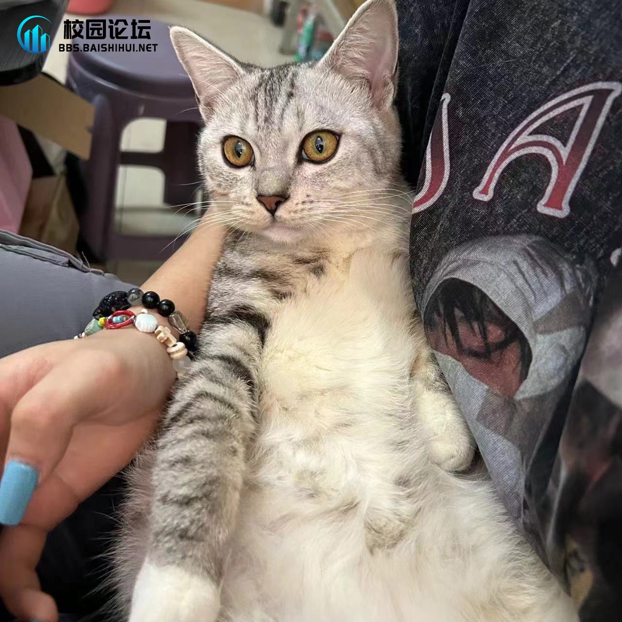 20240301230119337-201baeddd97f6ebcaf5f356d57aef433