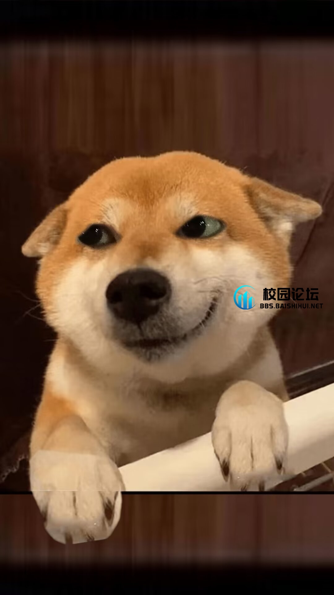 想不出来.的头像 - 校园论坛