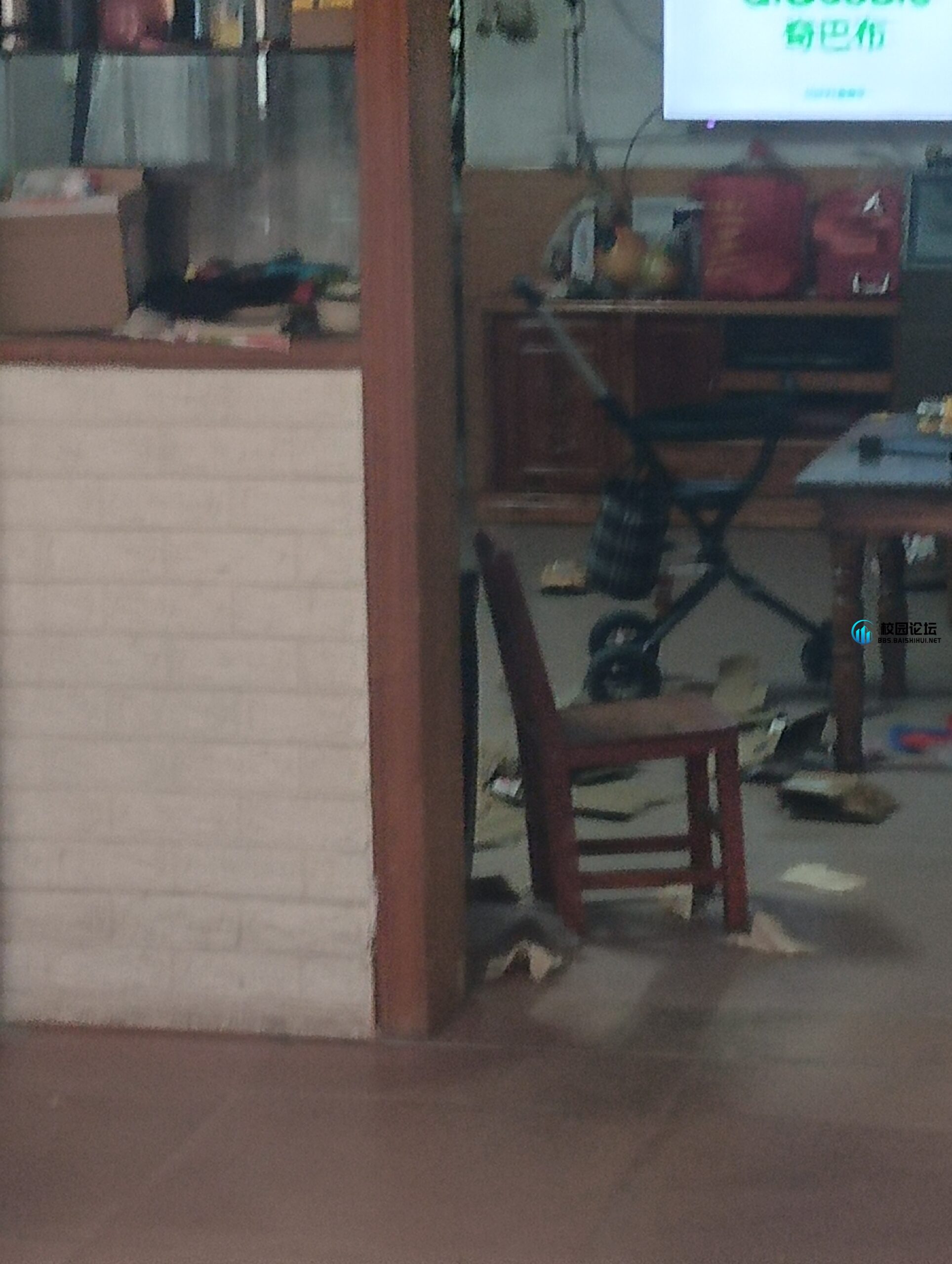 20240308194528308-IMG_20240308_173839