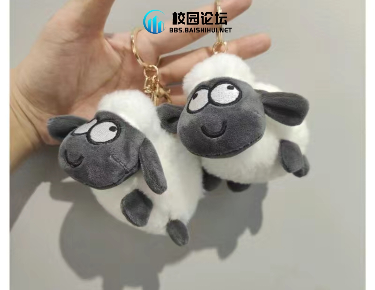 找挂件，捡到的请➕13432409229 - 校园论坛