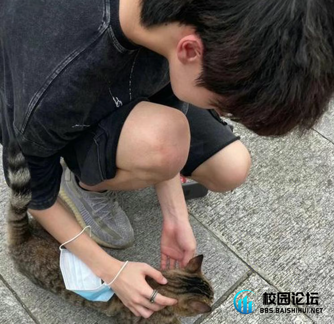 GG-boy - 校园论坛