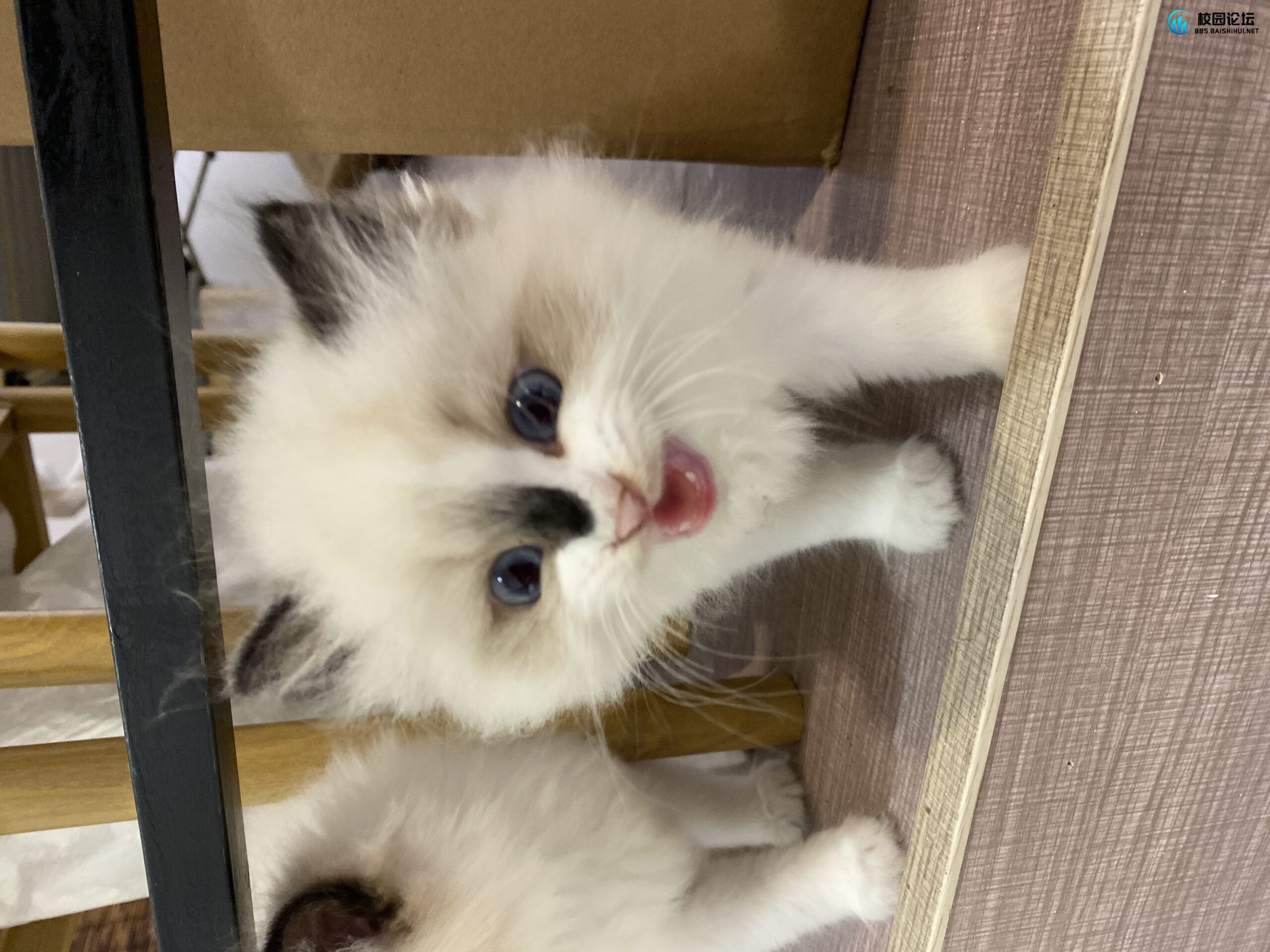 20240323215812191-IMG_4047