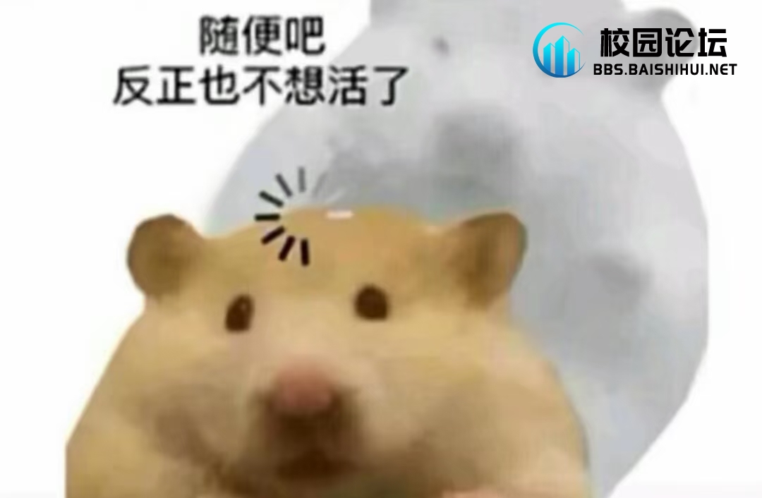 錦济南的头像 - 校园论坛