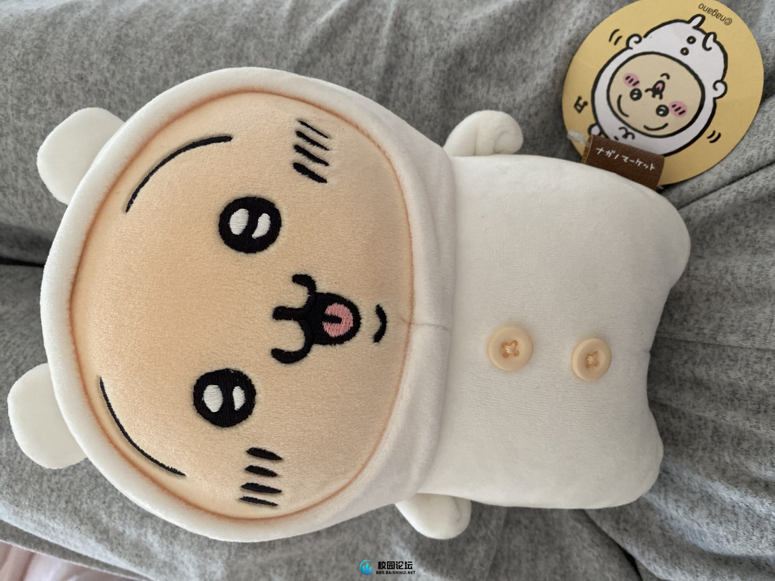 出出乌萨奇自嘲熊联名款 - 校园论坛