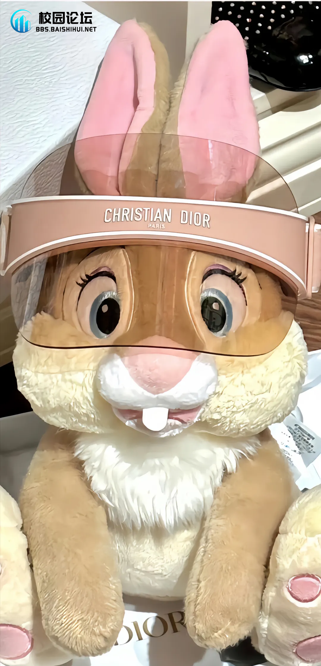 螺蛳不要粉的头像 - 校园论坛