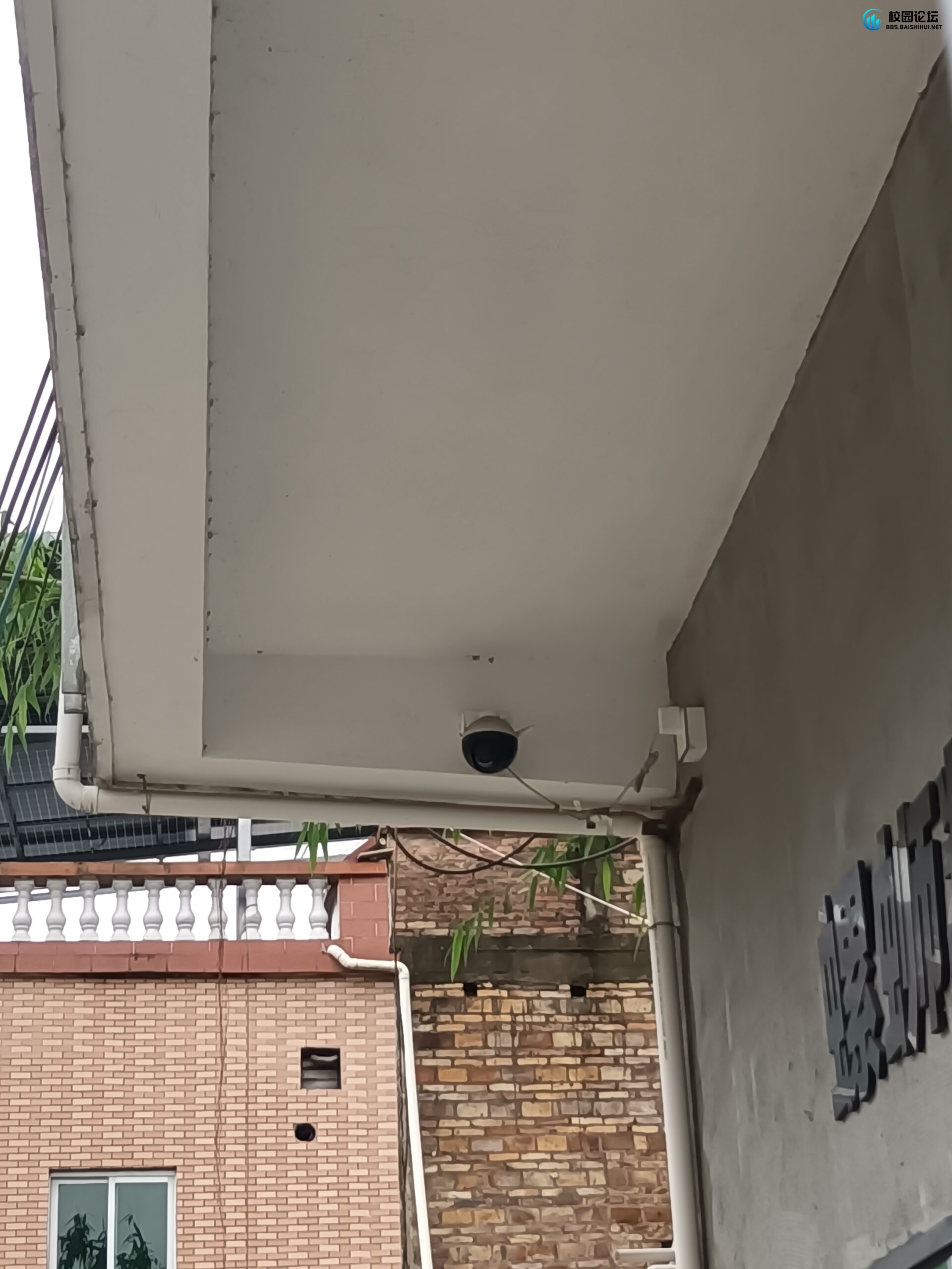 螺蛳粉店黑色伞 - 校园论坛