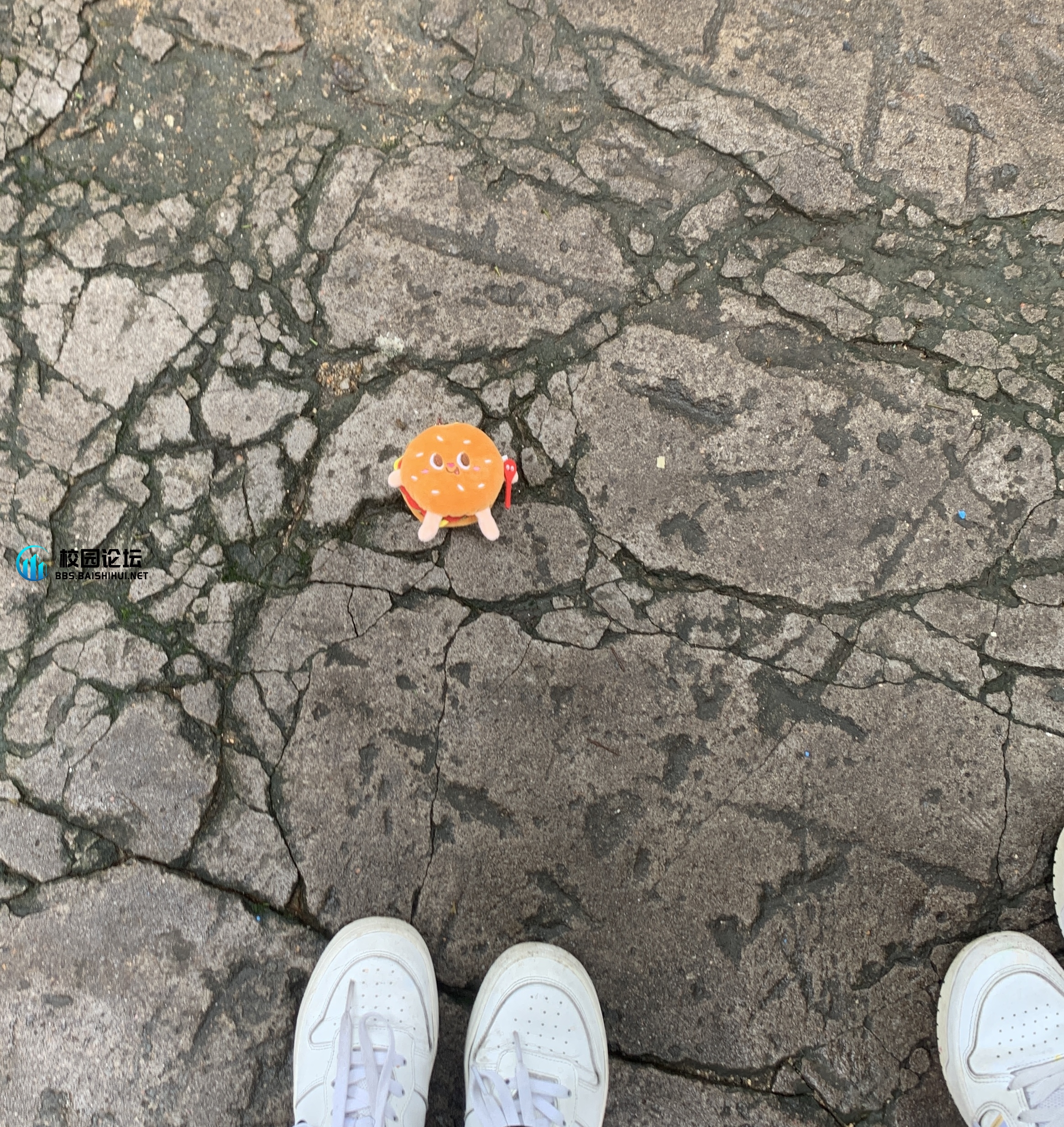 谁的娃掉了 - 校园论坛