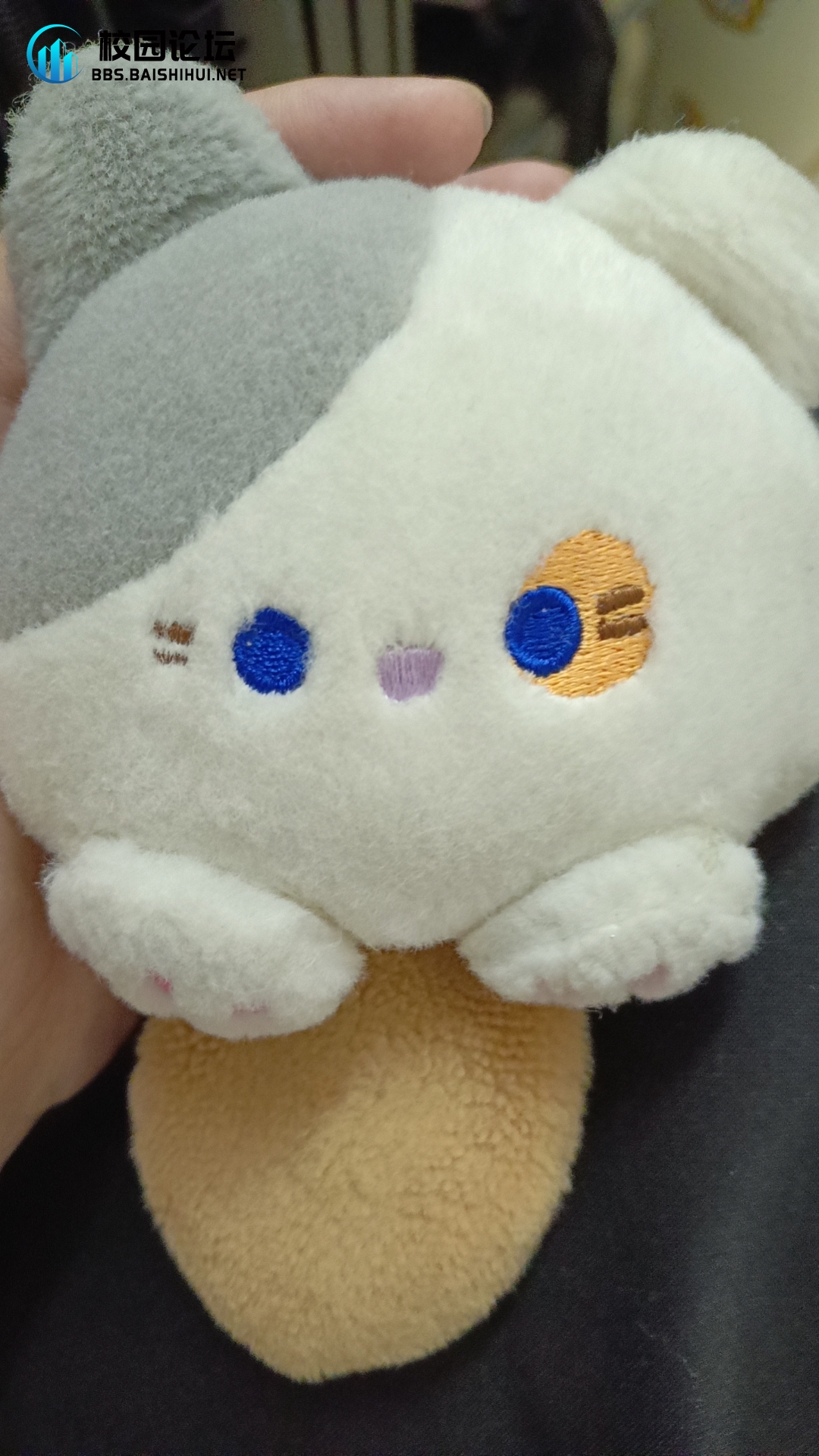 寻物启事 - 校园论坛