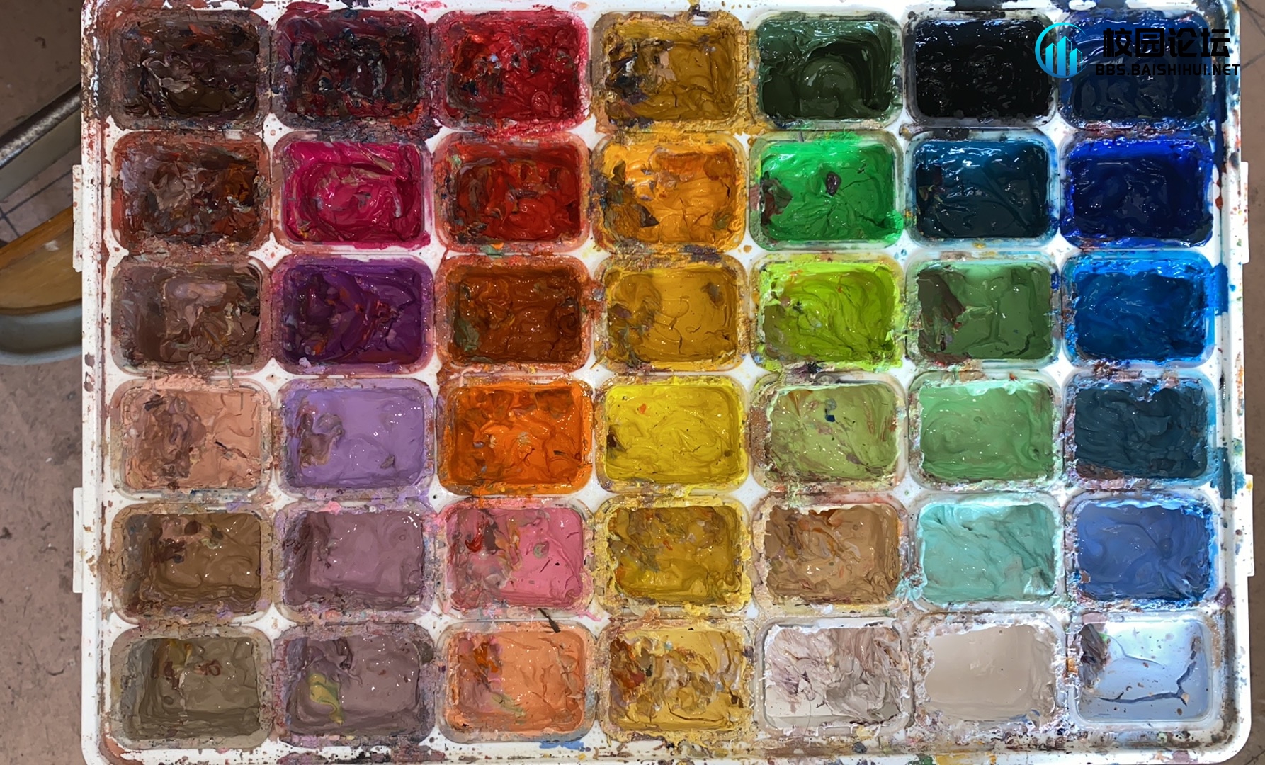 出颜料 - 校园论坛