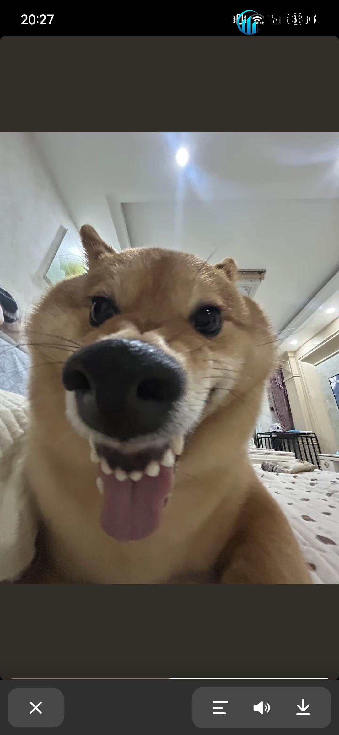 木木的头像 - 校园论坛