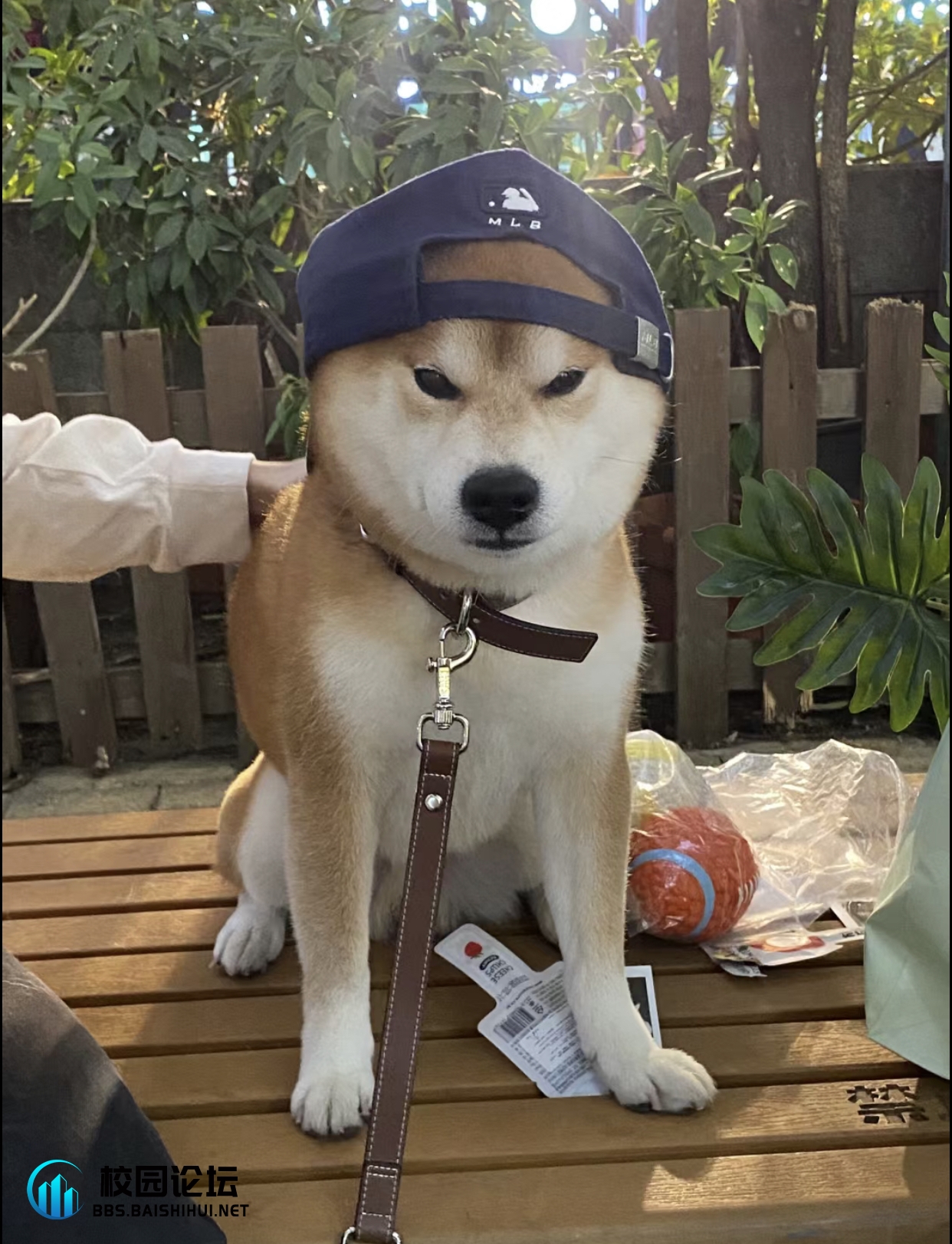 y y的头像 - 校园论坛