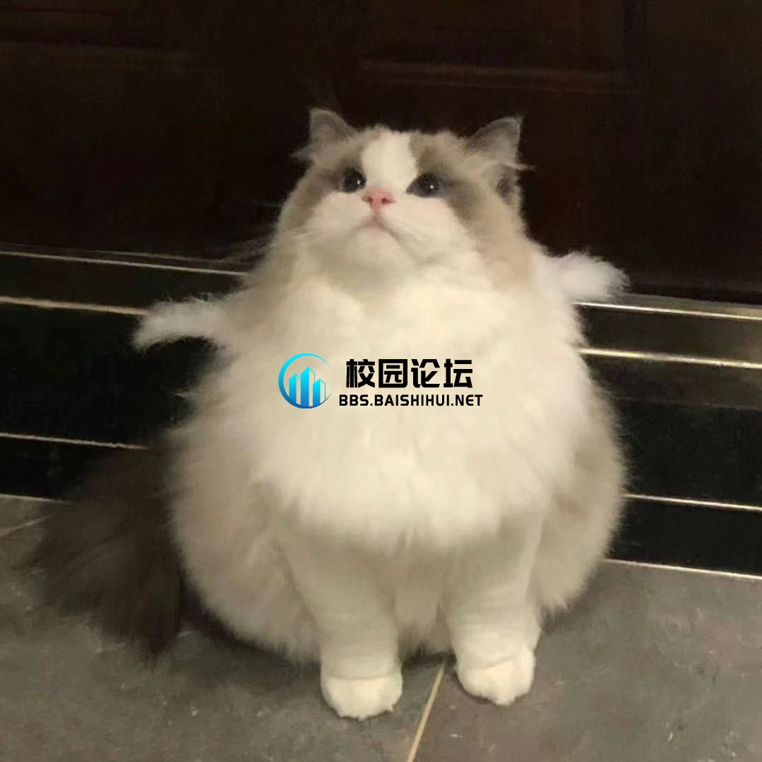 岚岚岚岚岚的头像 - 校园论坛