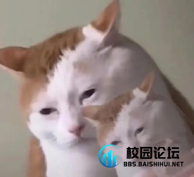 用户73639346的头像 - 校园论坛