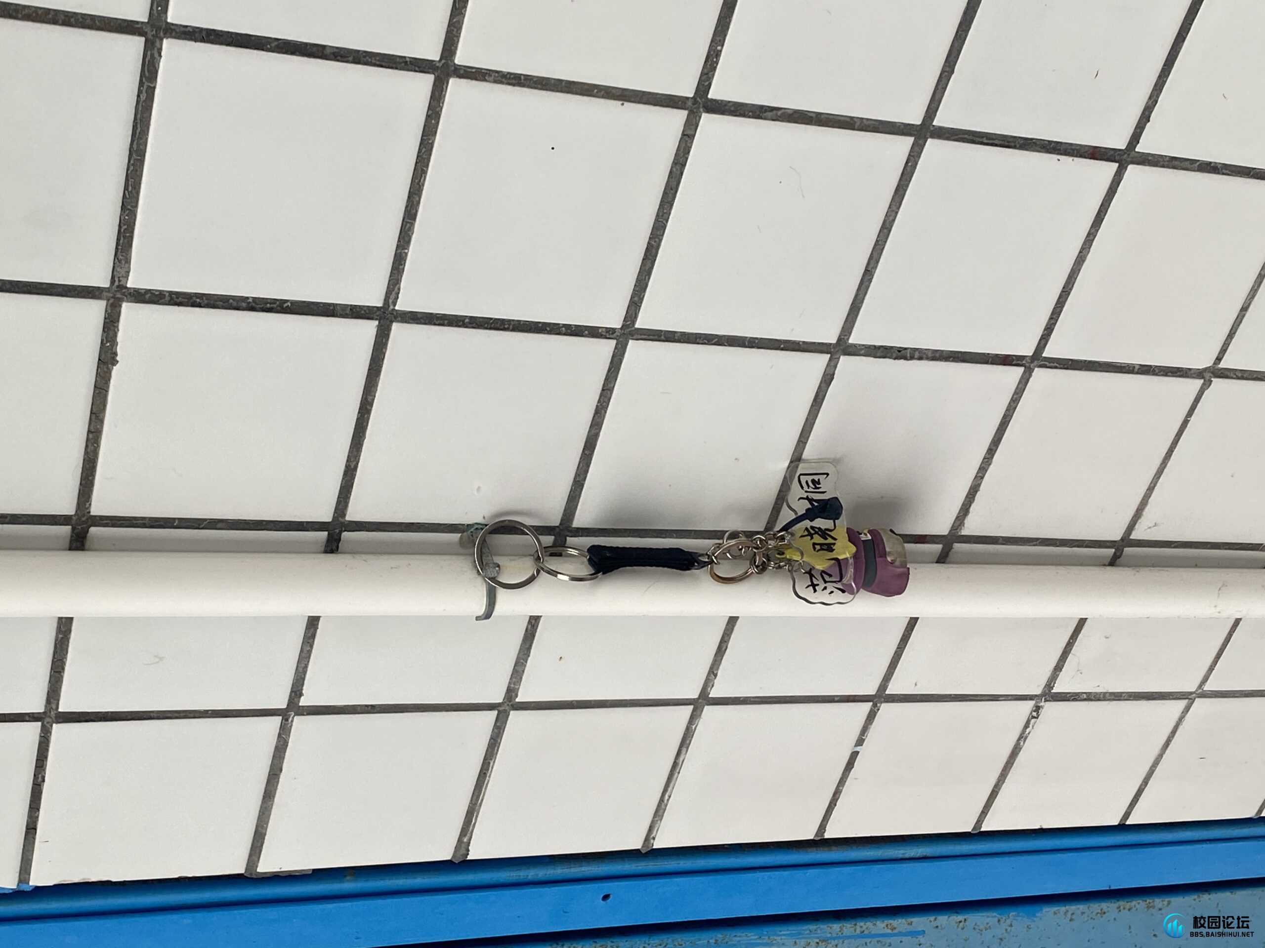 20240601190415102-IMG_1296