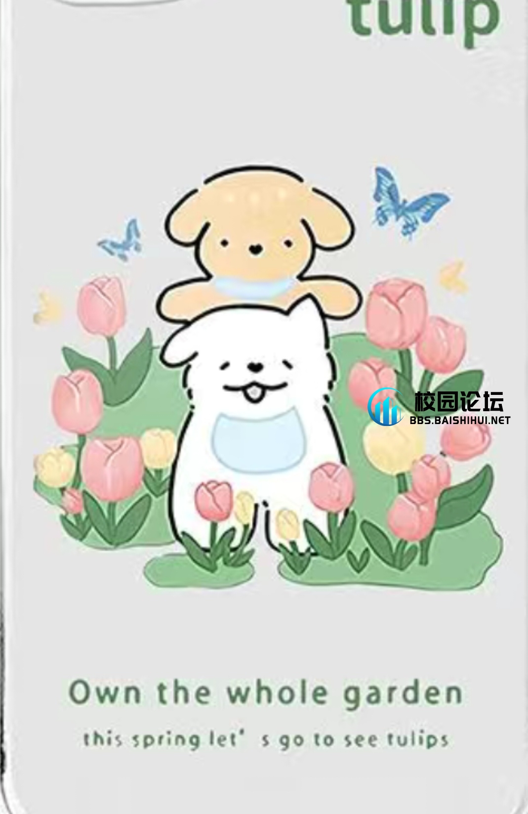 寻找饭卡，号码是00039219如果捡到了请加微信A6024899，非常感谢 - 校园论坛