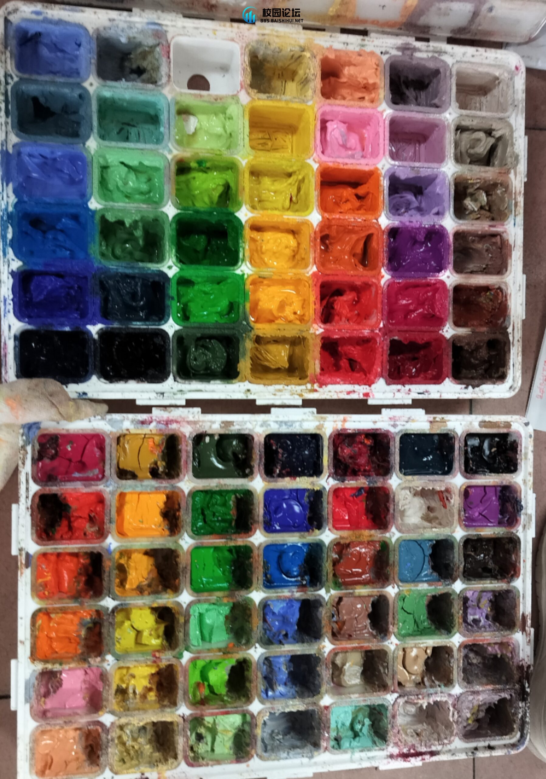 出颜料 - 校园论坛