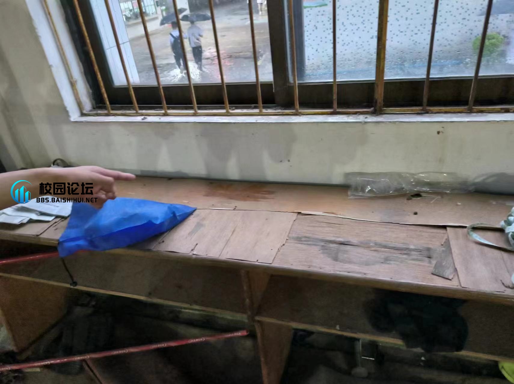 谁偷了我的伞！ - 校园论坛