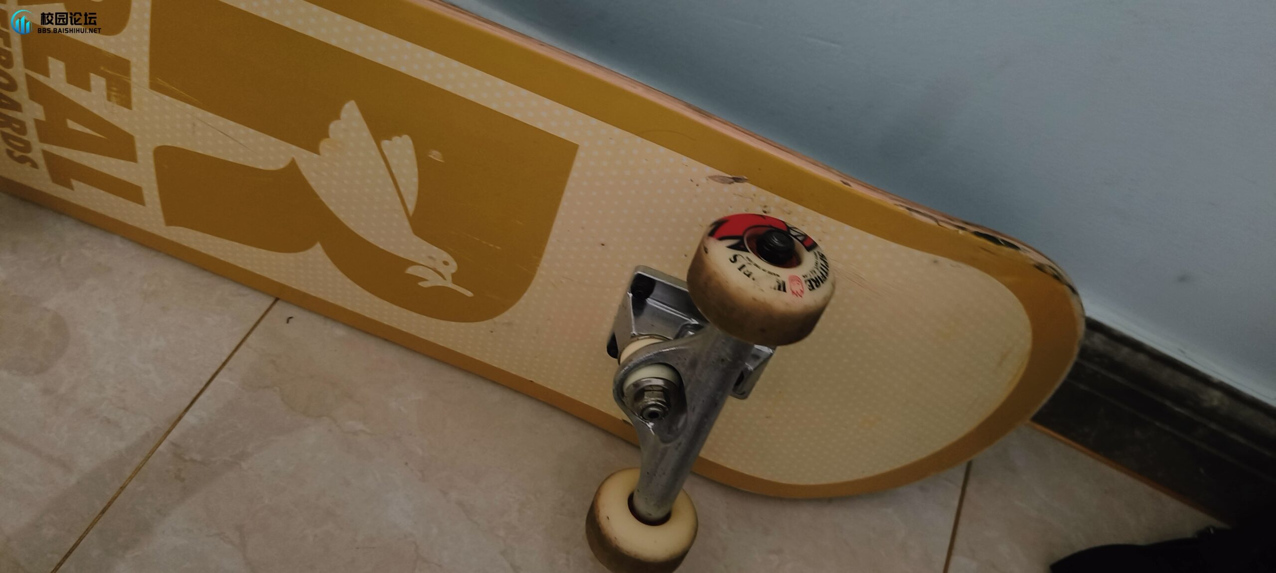 卖这个 - 校园论坛