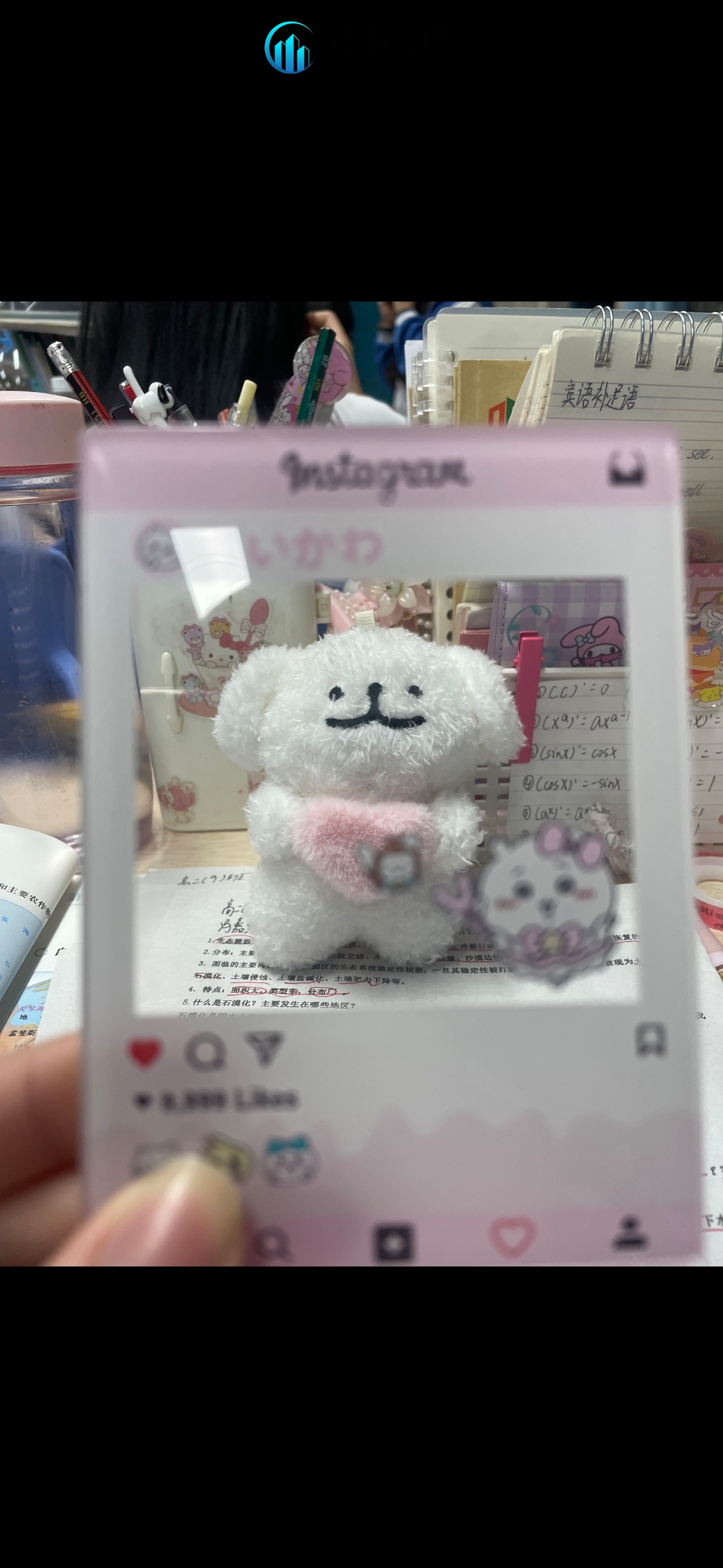 有没有同学捡到个线条小狗挂件 - 校园论坛