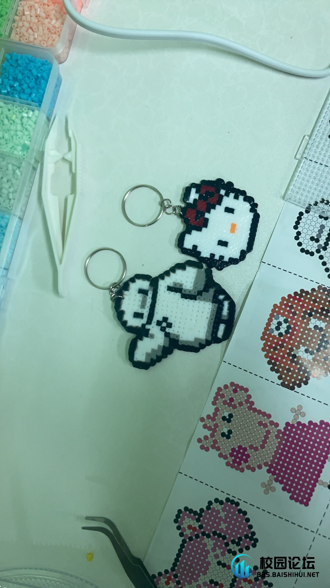 20240627133239910-IMG_6808