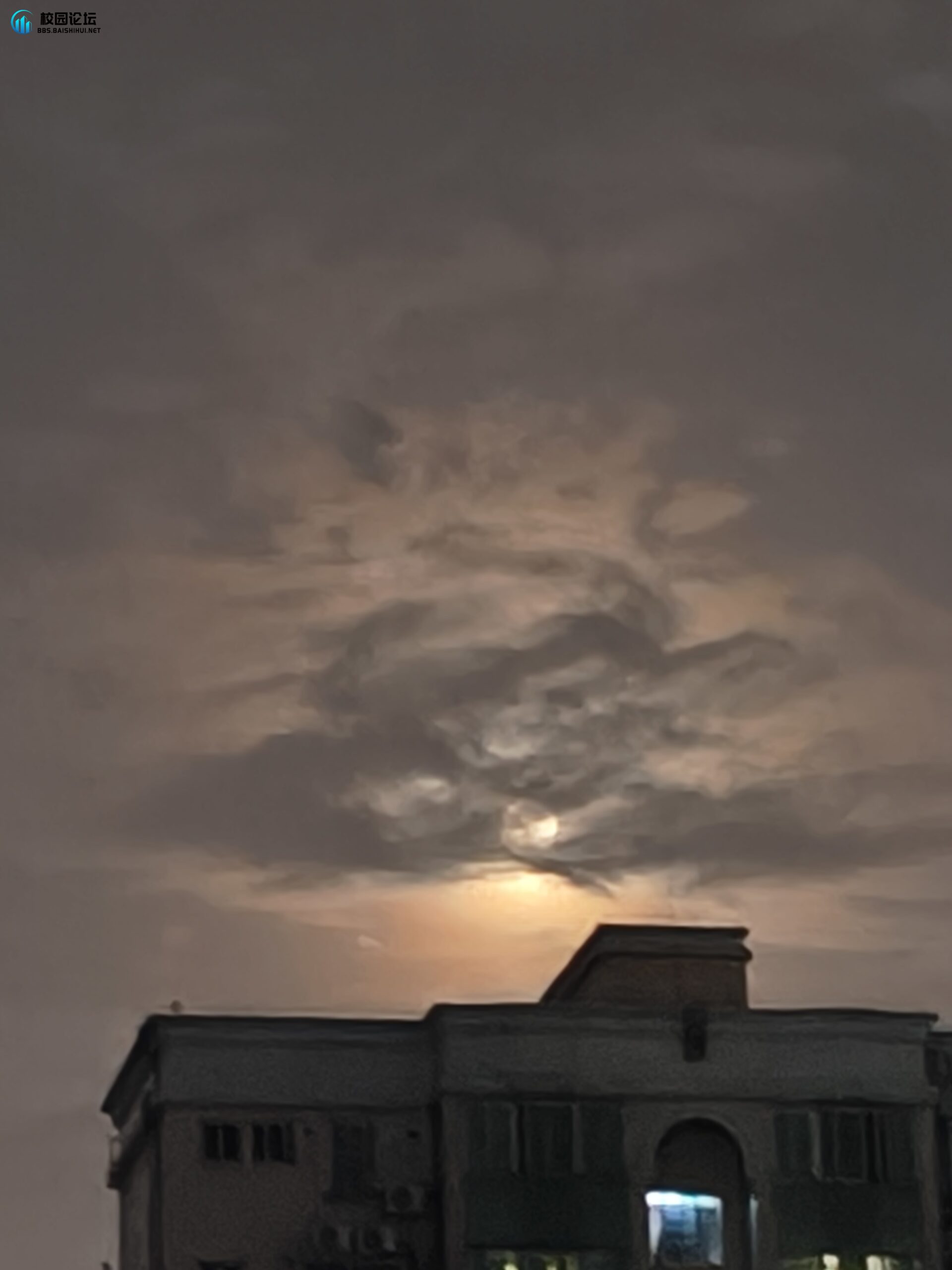 雏菊的头像 - 校园论坛