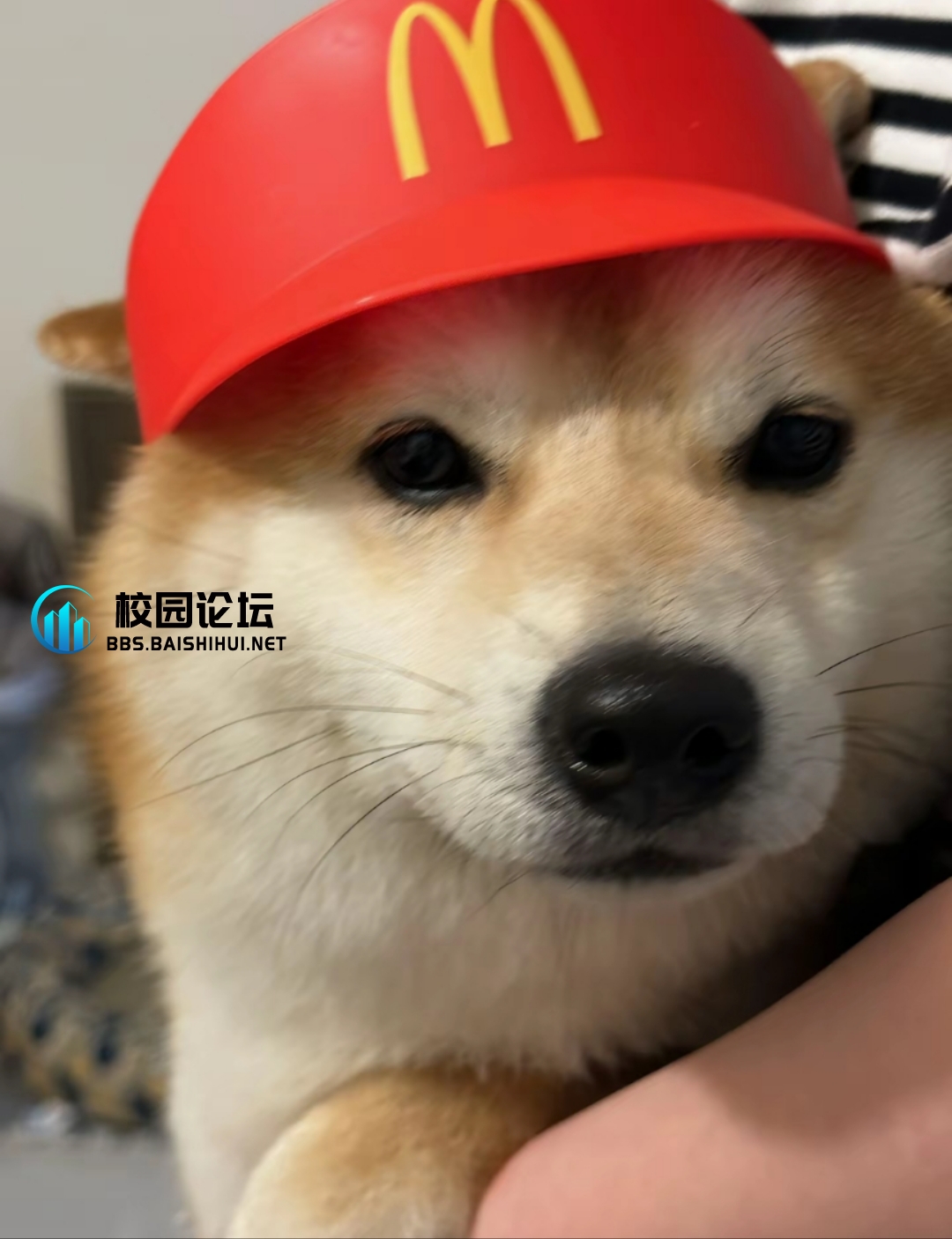 xun歌的头像 - 校园论坛