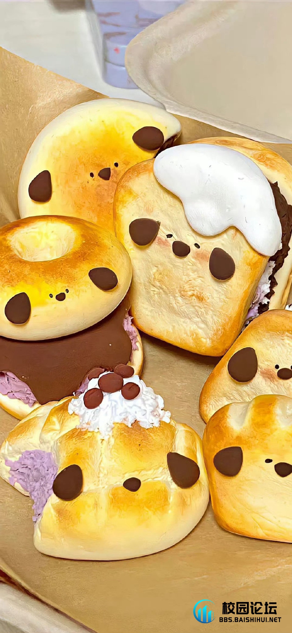 。。。。。。。的头像 - 校园论坛