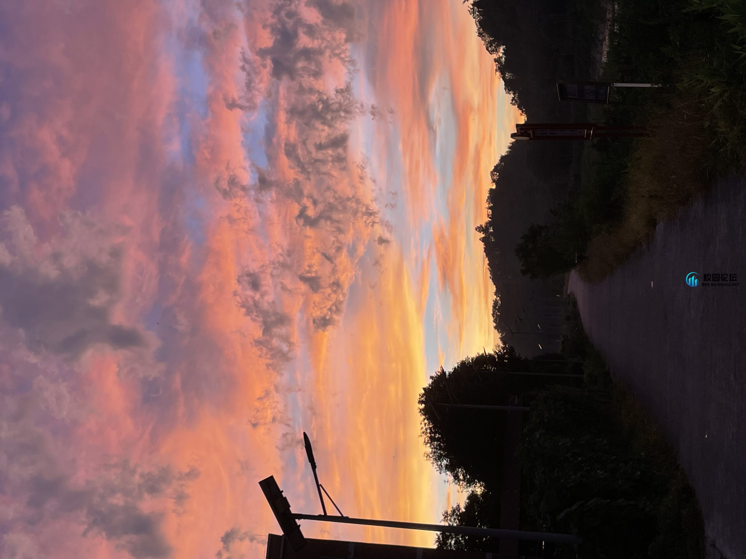 hxdjjdkd的头像 - 校园论坛