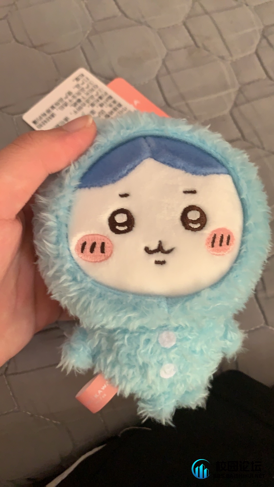 20240923232113527-IMG_6472