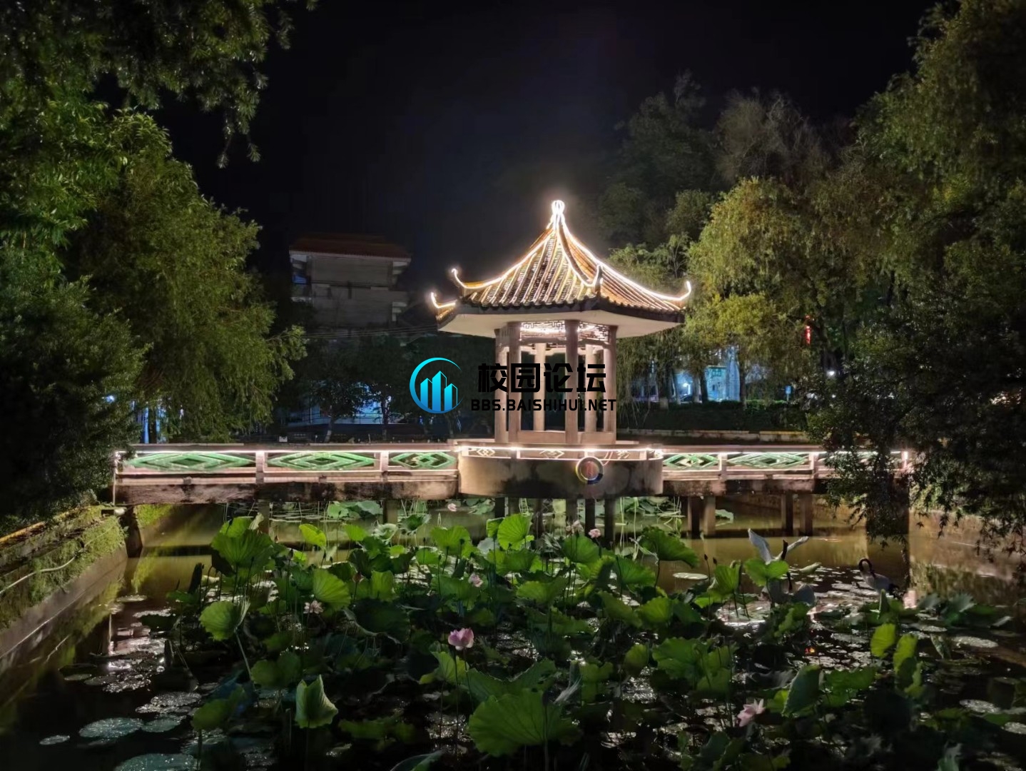 评论图片 - 校园论坛