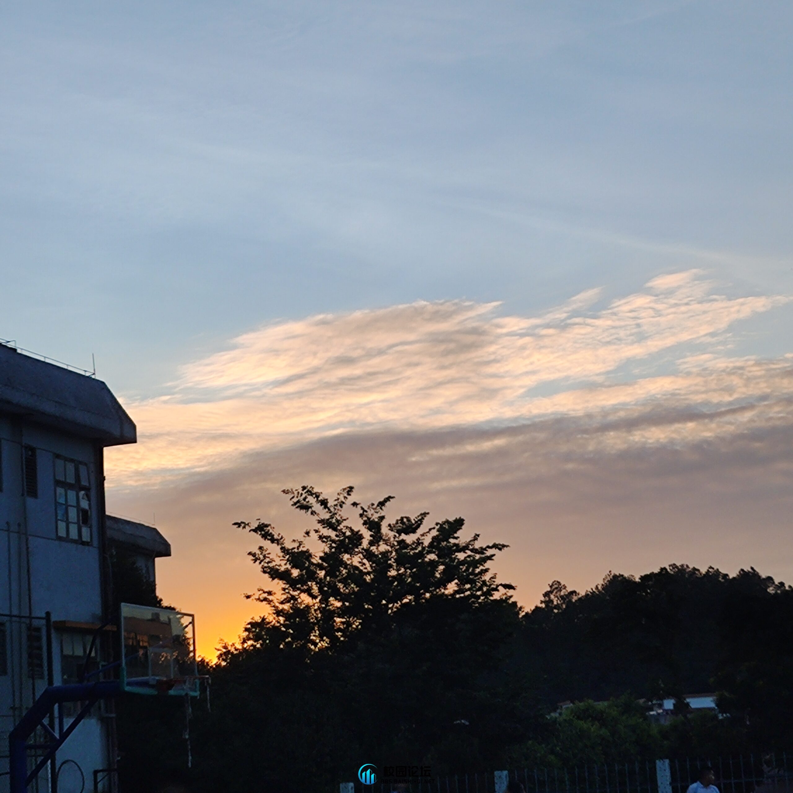 评论图片 - 校园论坛