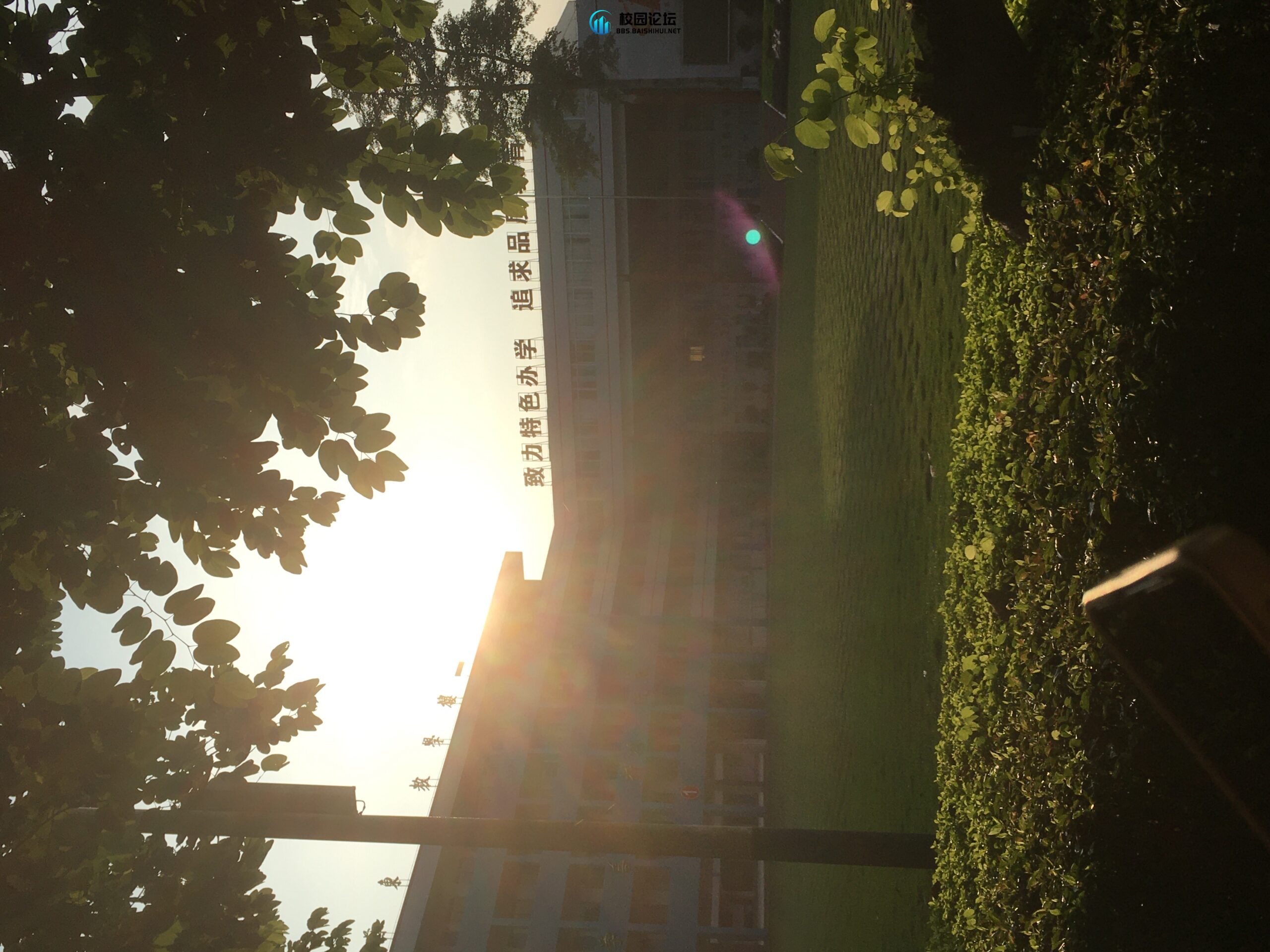 评论图片 - 校园论坛